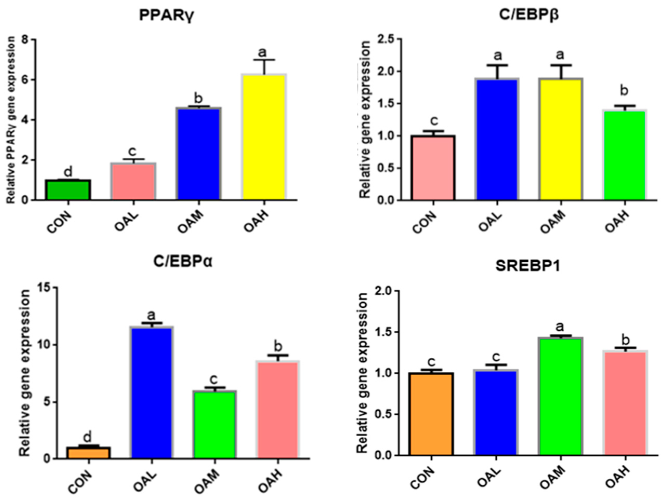 Animals 13 03618 g006