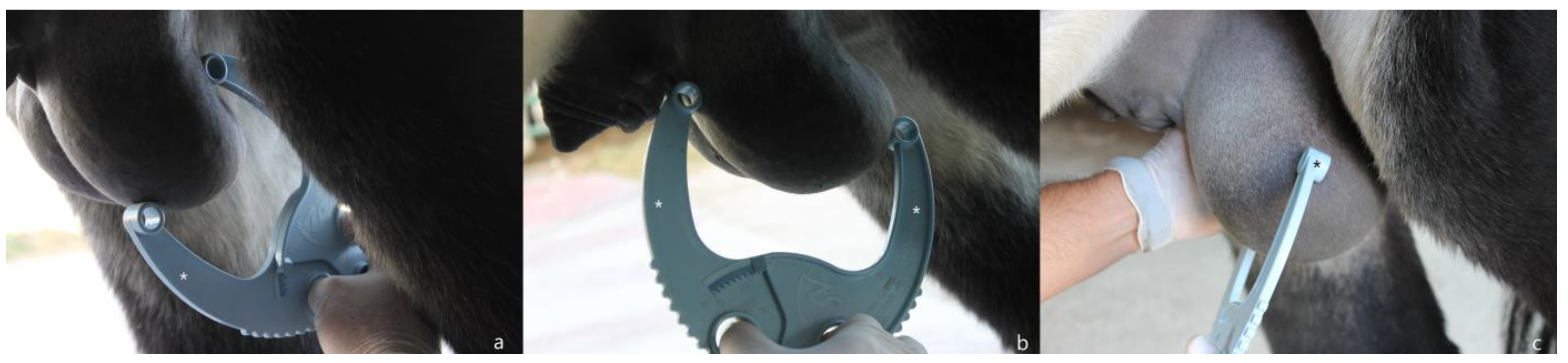 Animals 13 03619 g001 Animals 13 03619 g001