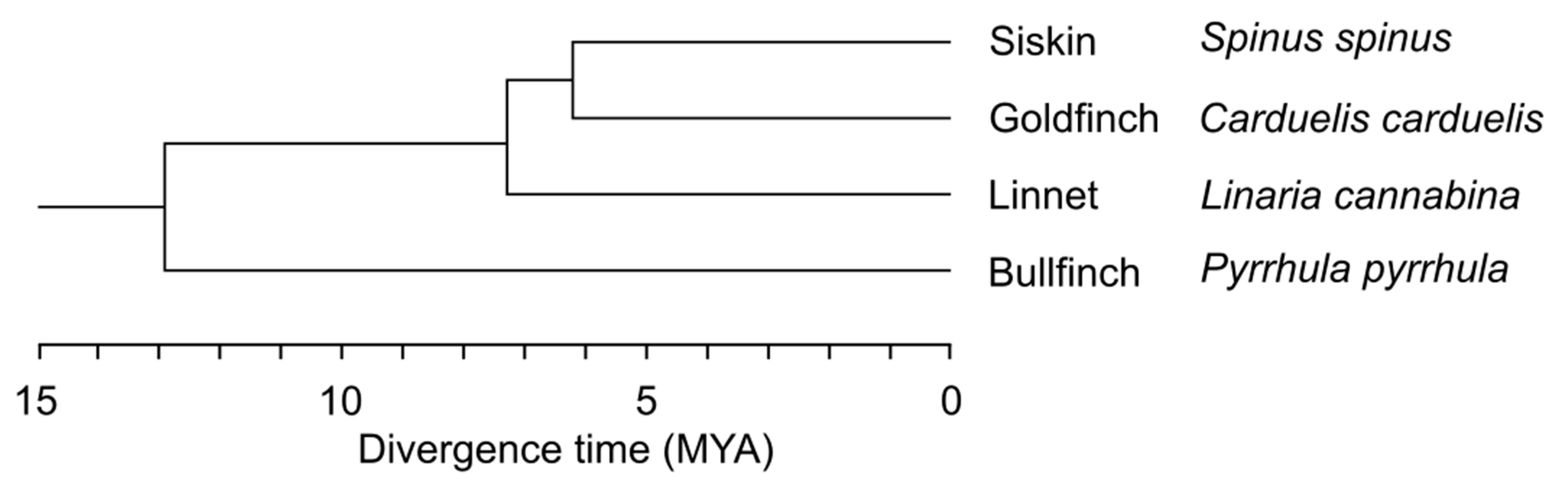 Animals 13 03624 g001 Animals 13 03624 g001