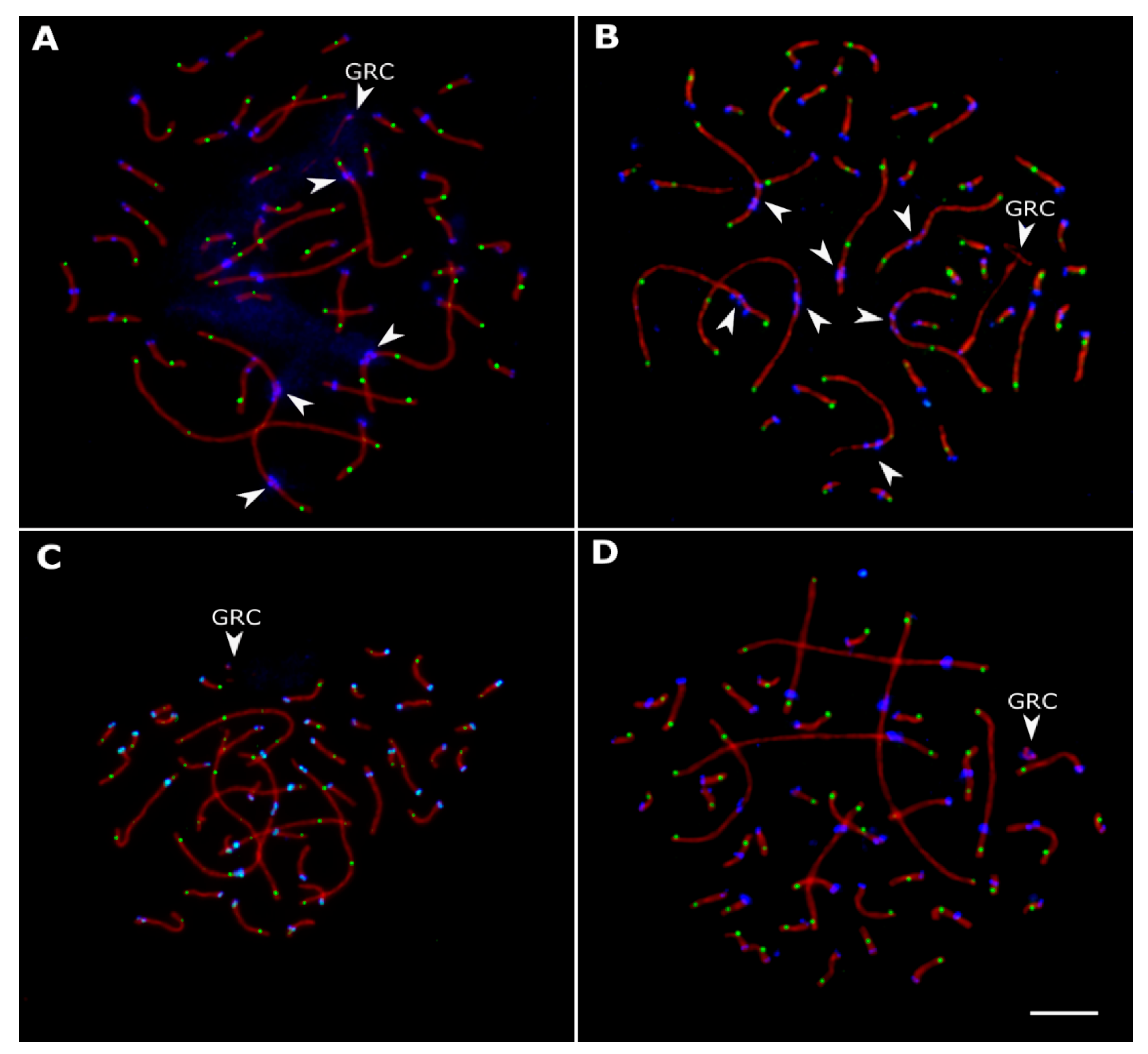 Animals 13 03624 g002 Animals 13 03624 g002