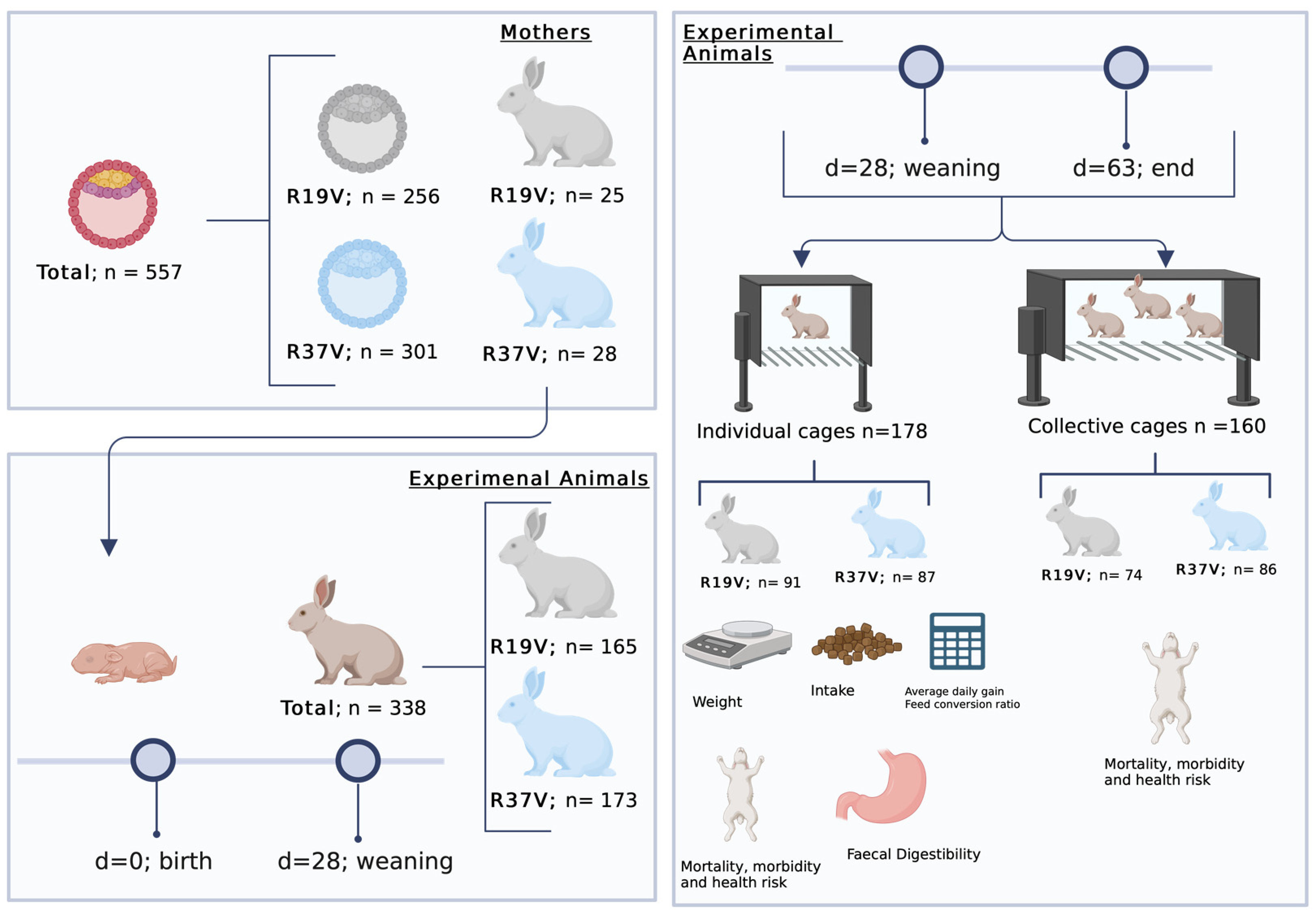 Animals 13 03625 g001 Animals 13 03625 g001