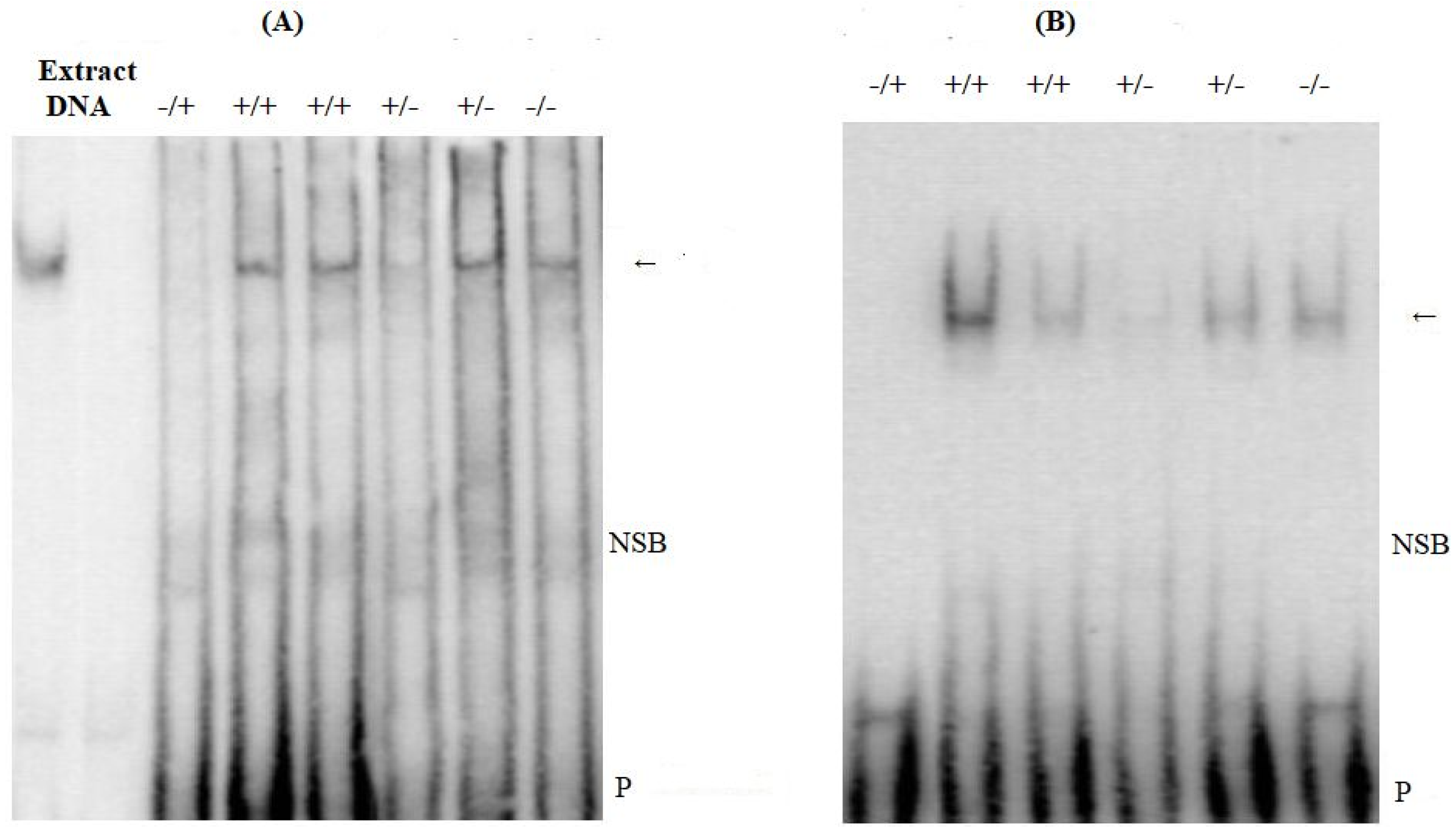 Animals 13 03627 g004