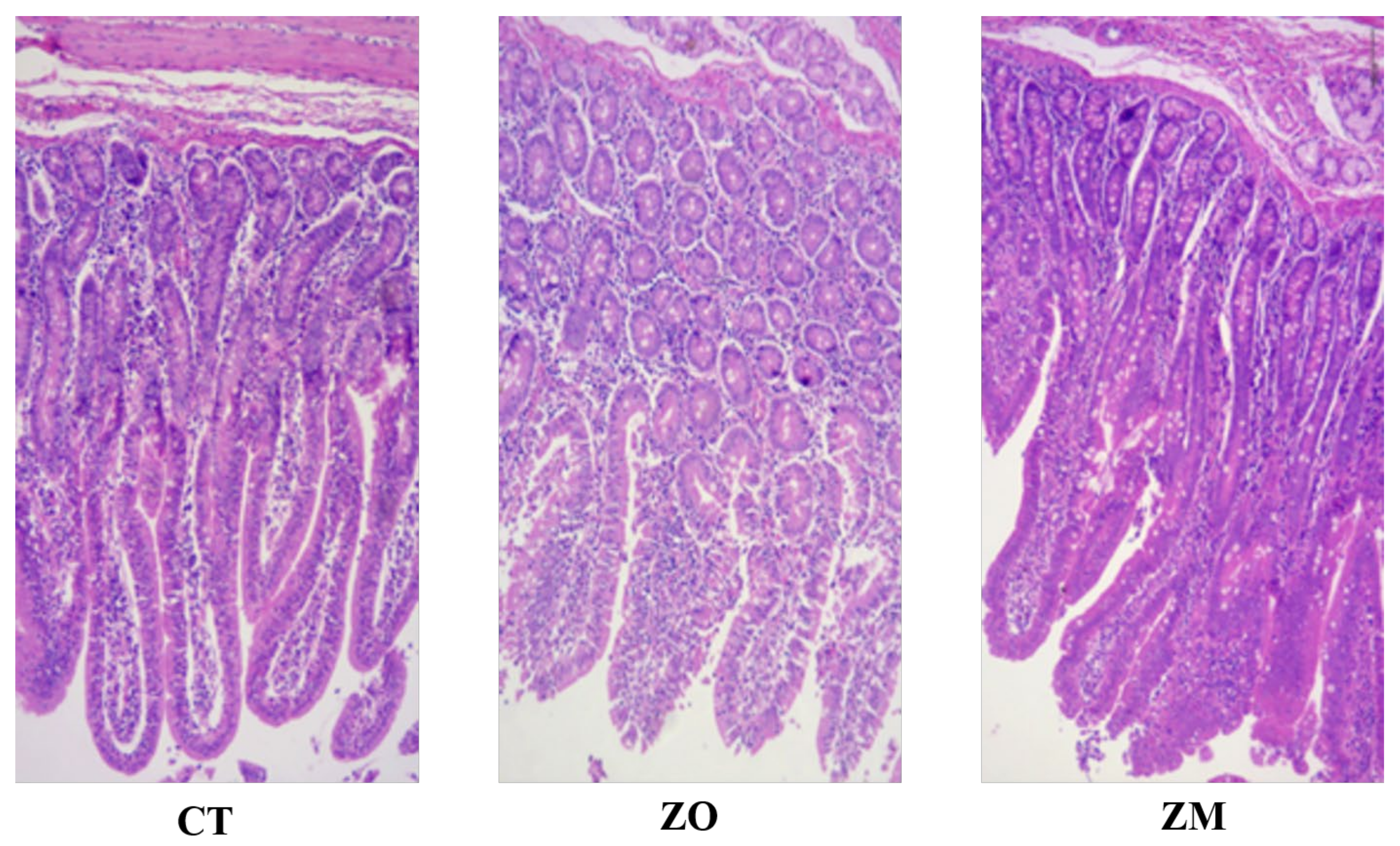 Animals 13 03630 g001