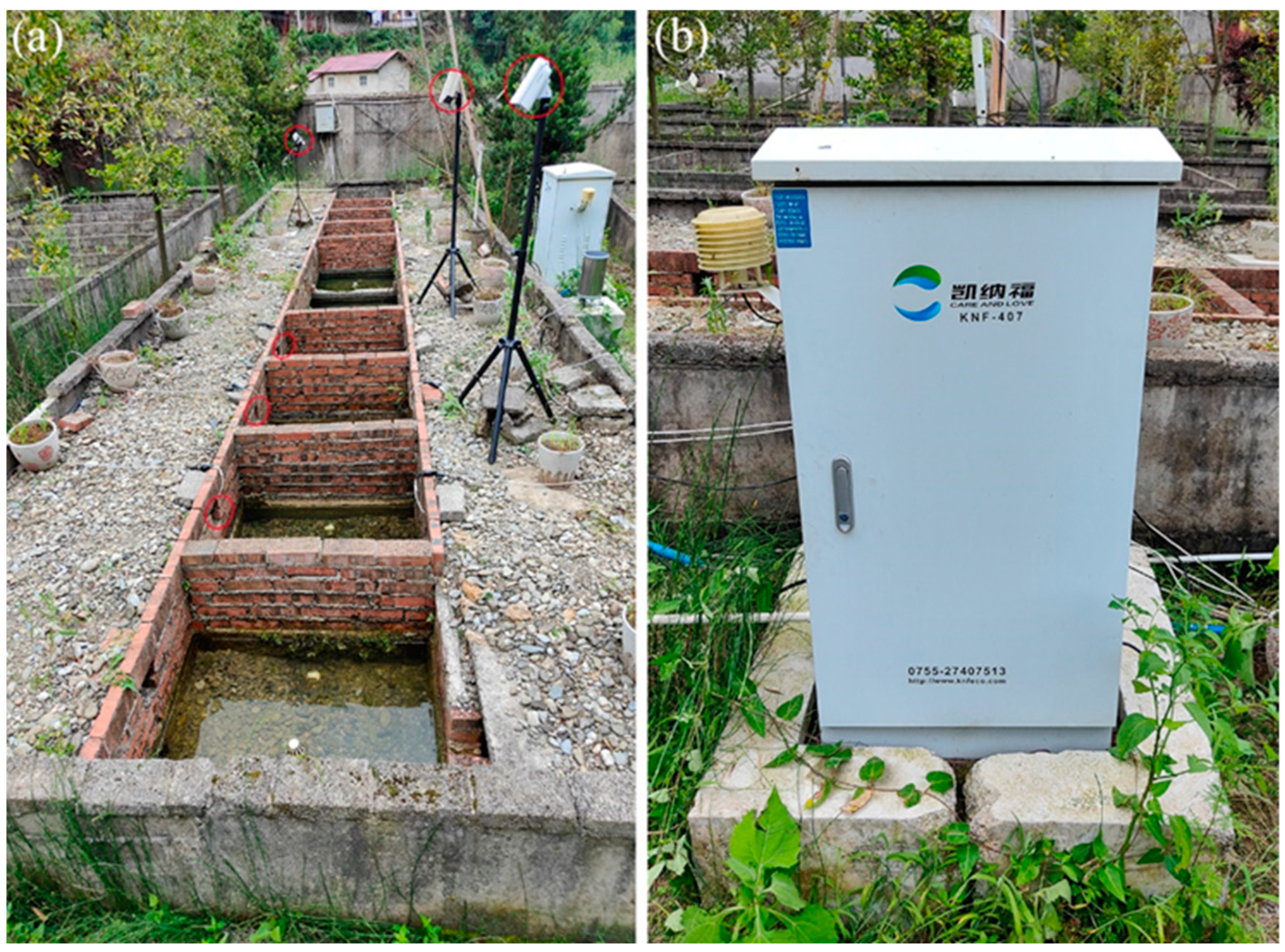 Animals 13 03632 g001