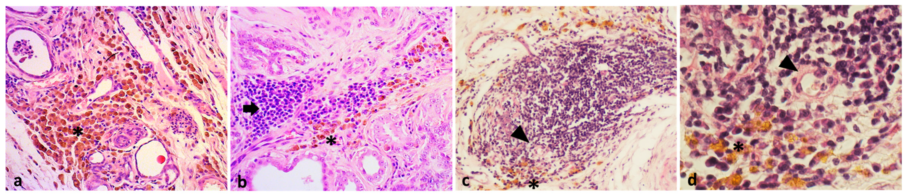 Animals 13 03634 g001 Animals 13 03634 g001