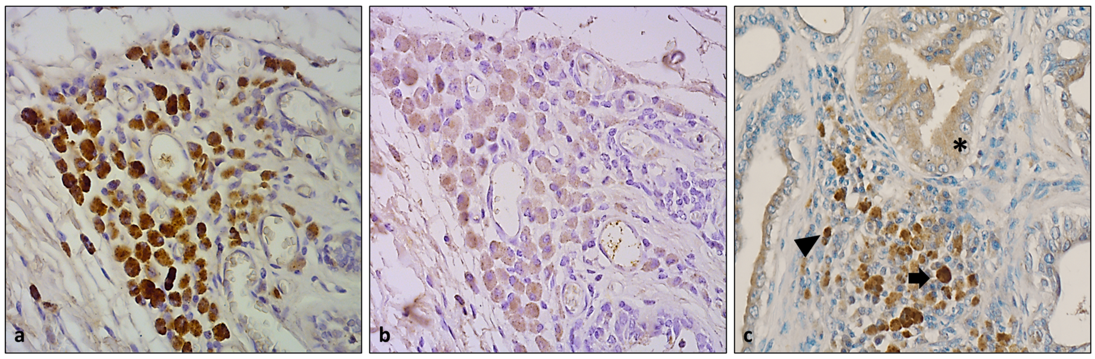 Animals 13 03634 g004 Animals 13 03634 g004