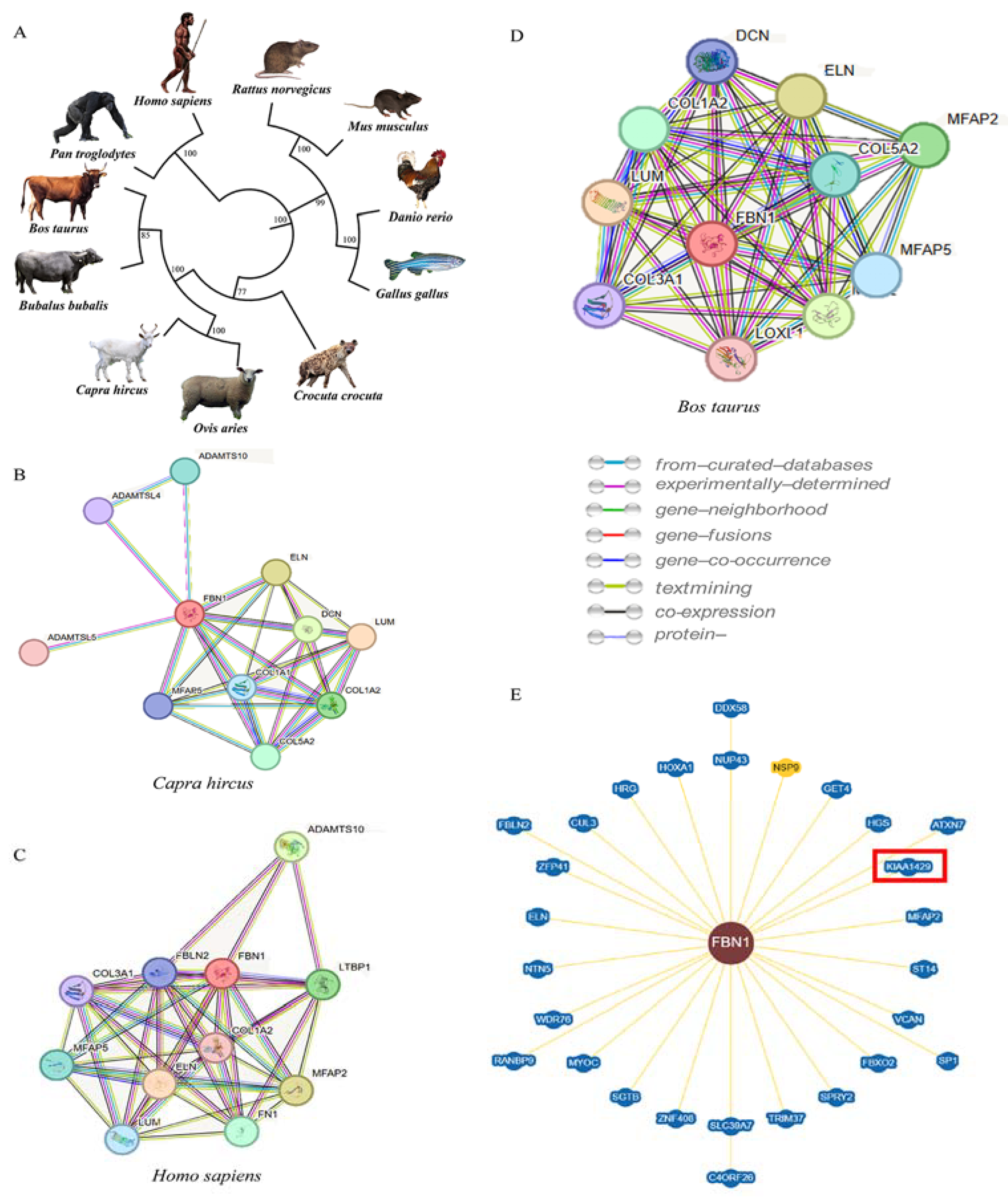 Animals 13 03639 g003