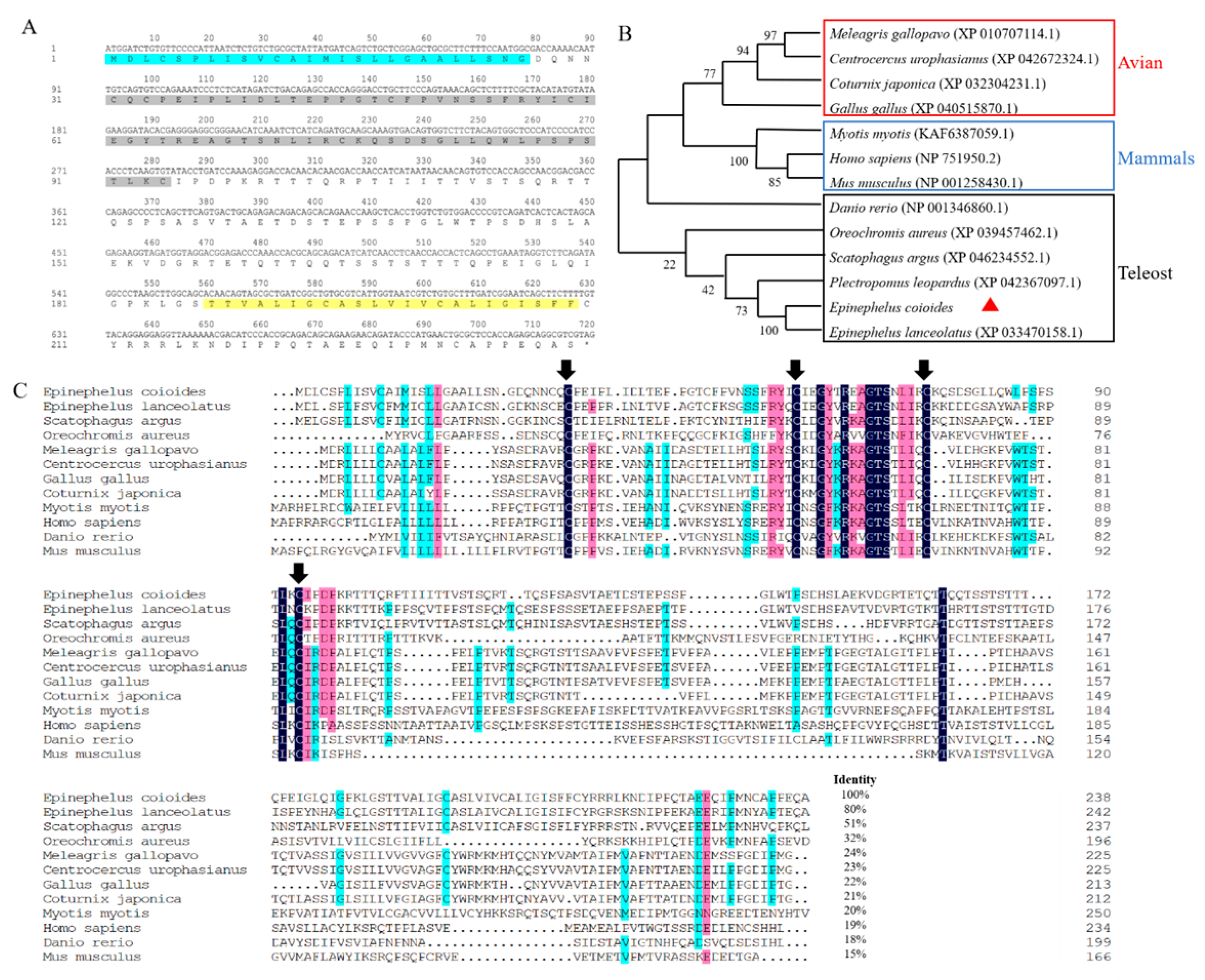 Animals 13 03641 g001 Animals 13 03641 g001