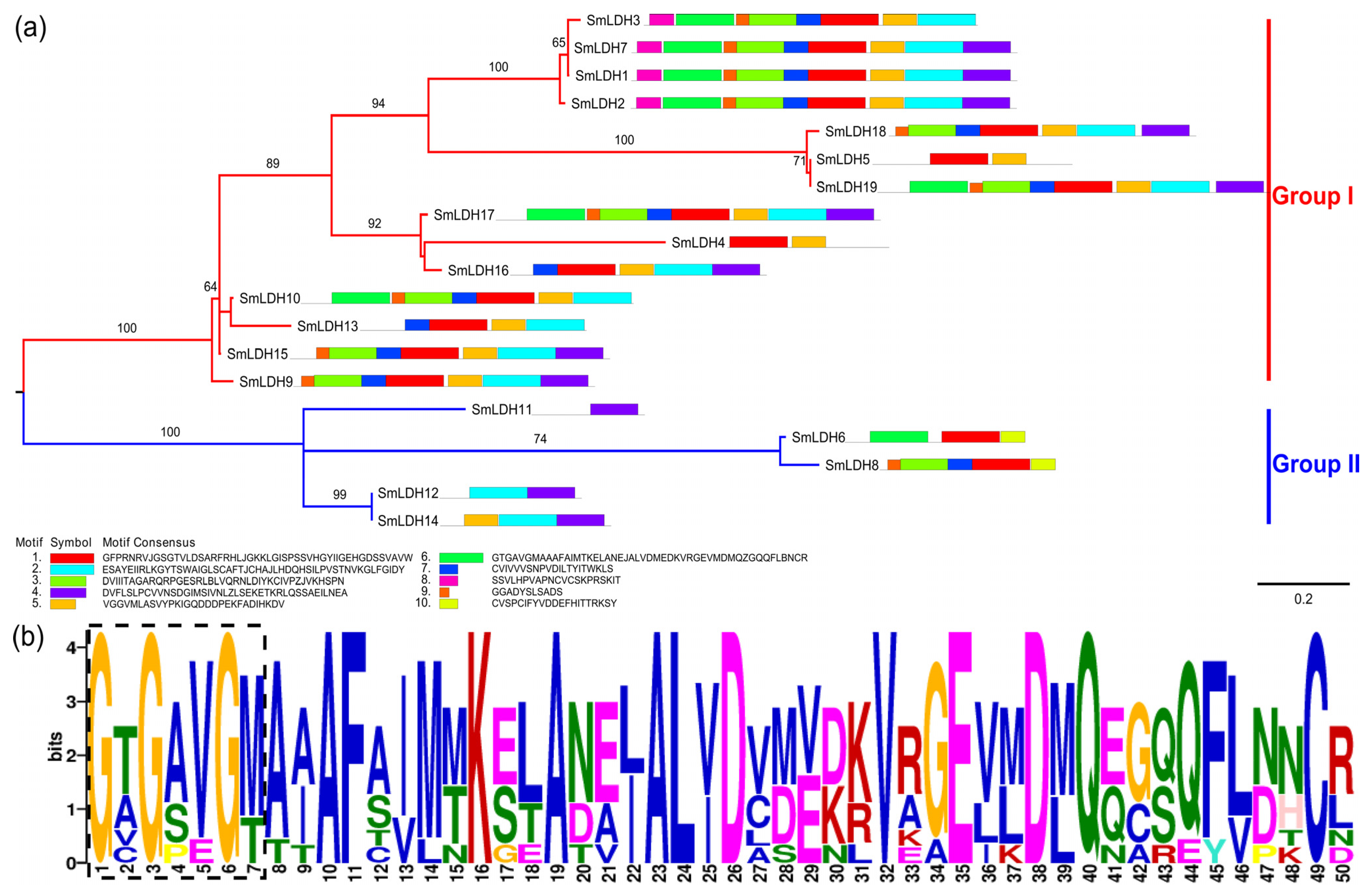 Animals 13 03642 g001