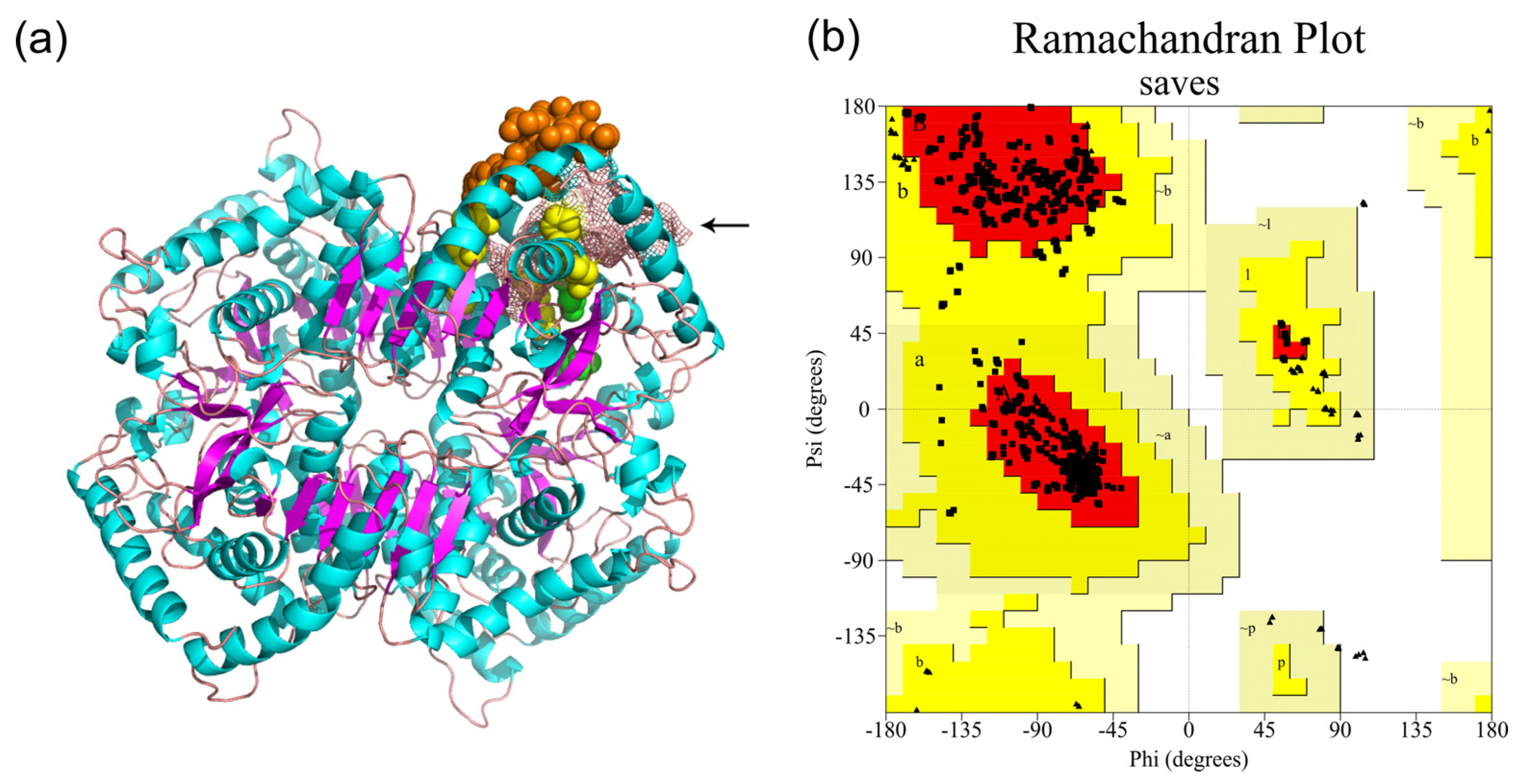 Animals 13 03642 g002