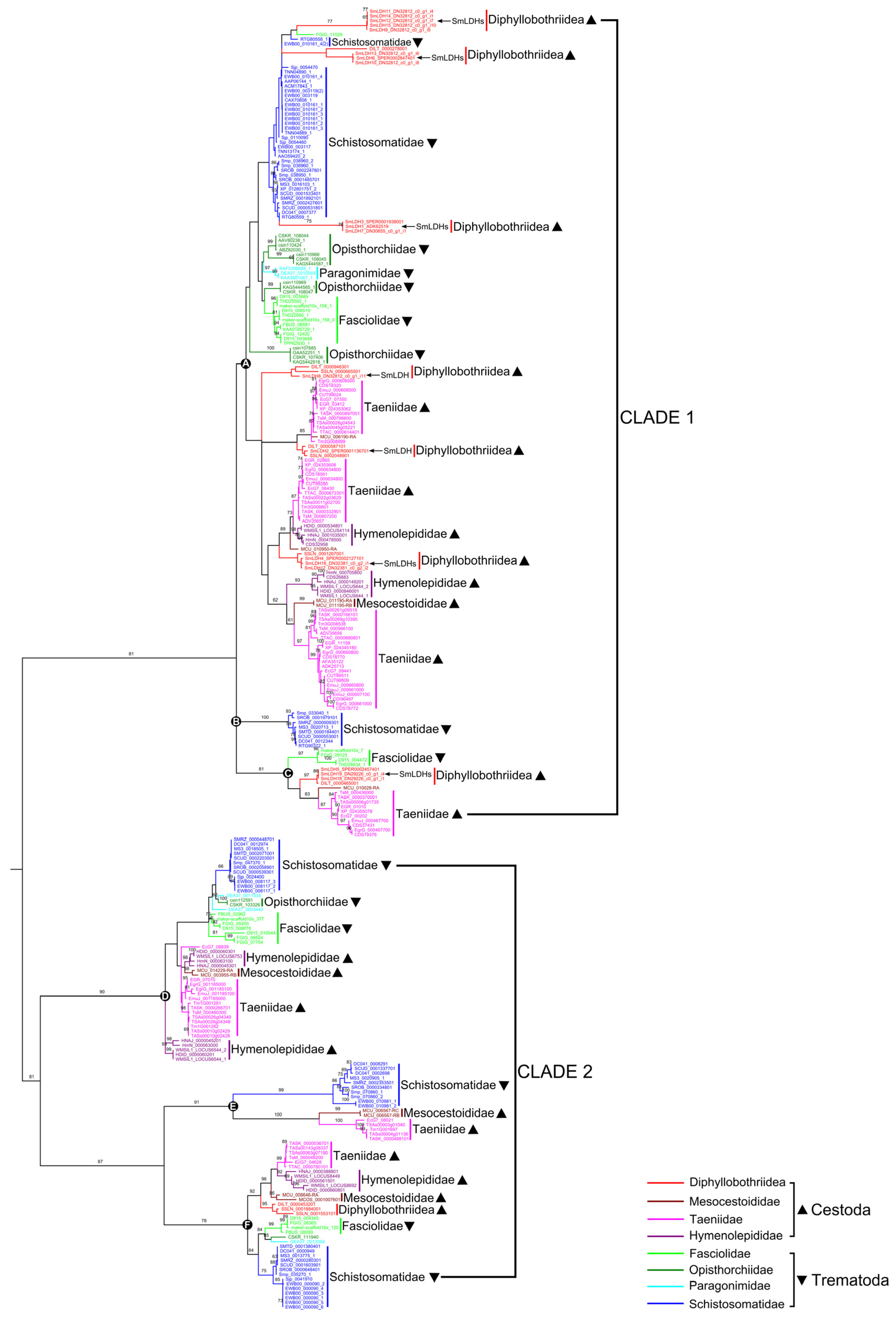 Animals 13 03642 g004