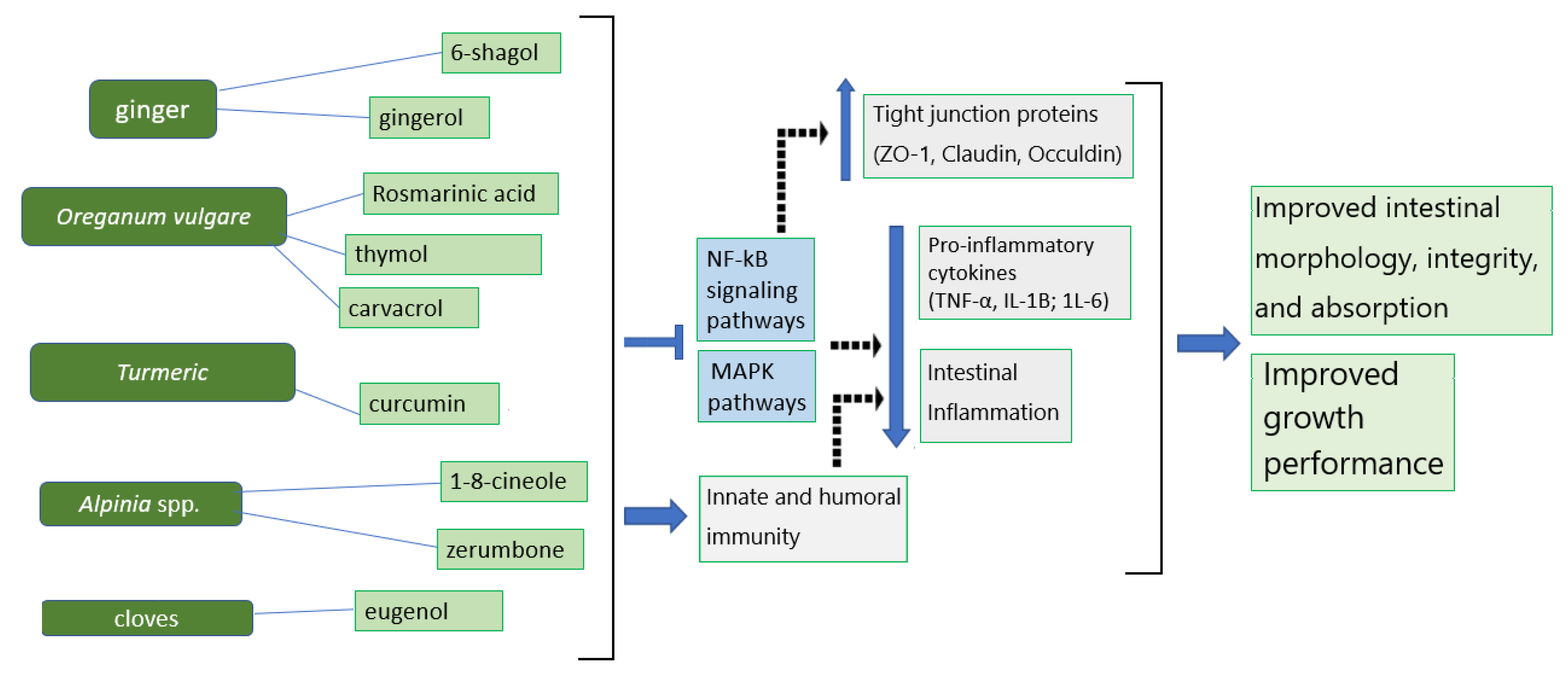 Animals 13 03643 g002 Animals 13 03643 g002