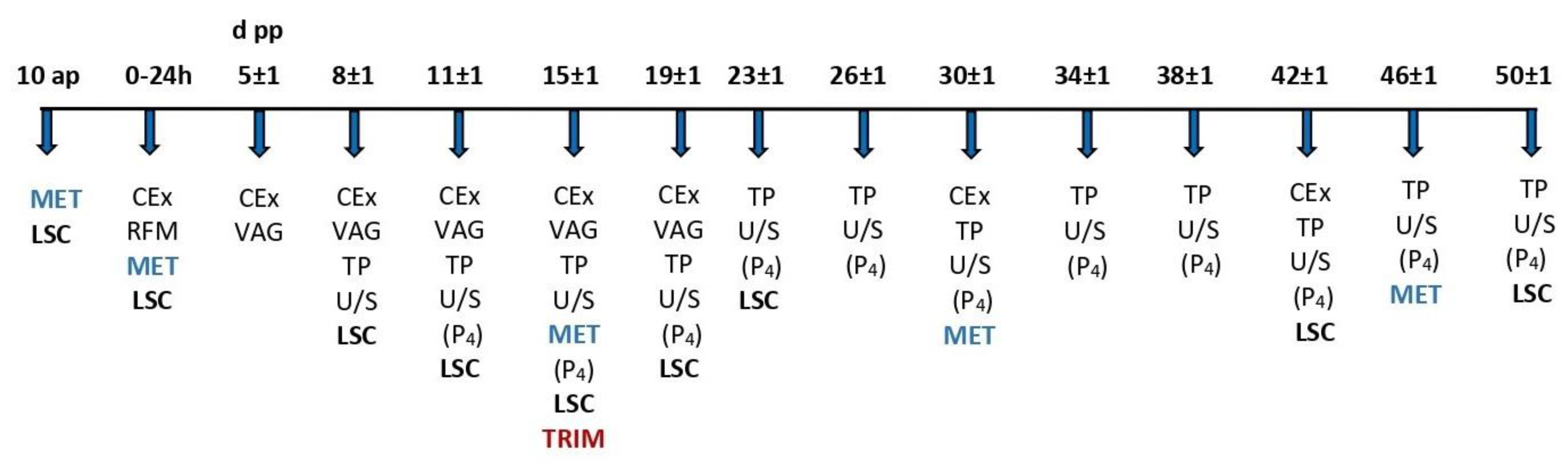 Animals 13 03645 g001