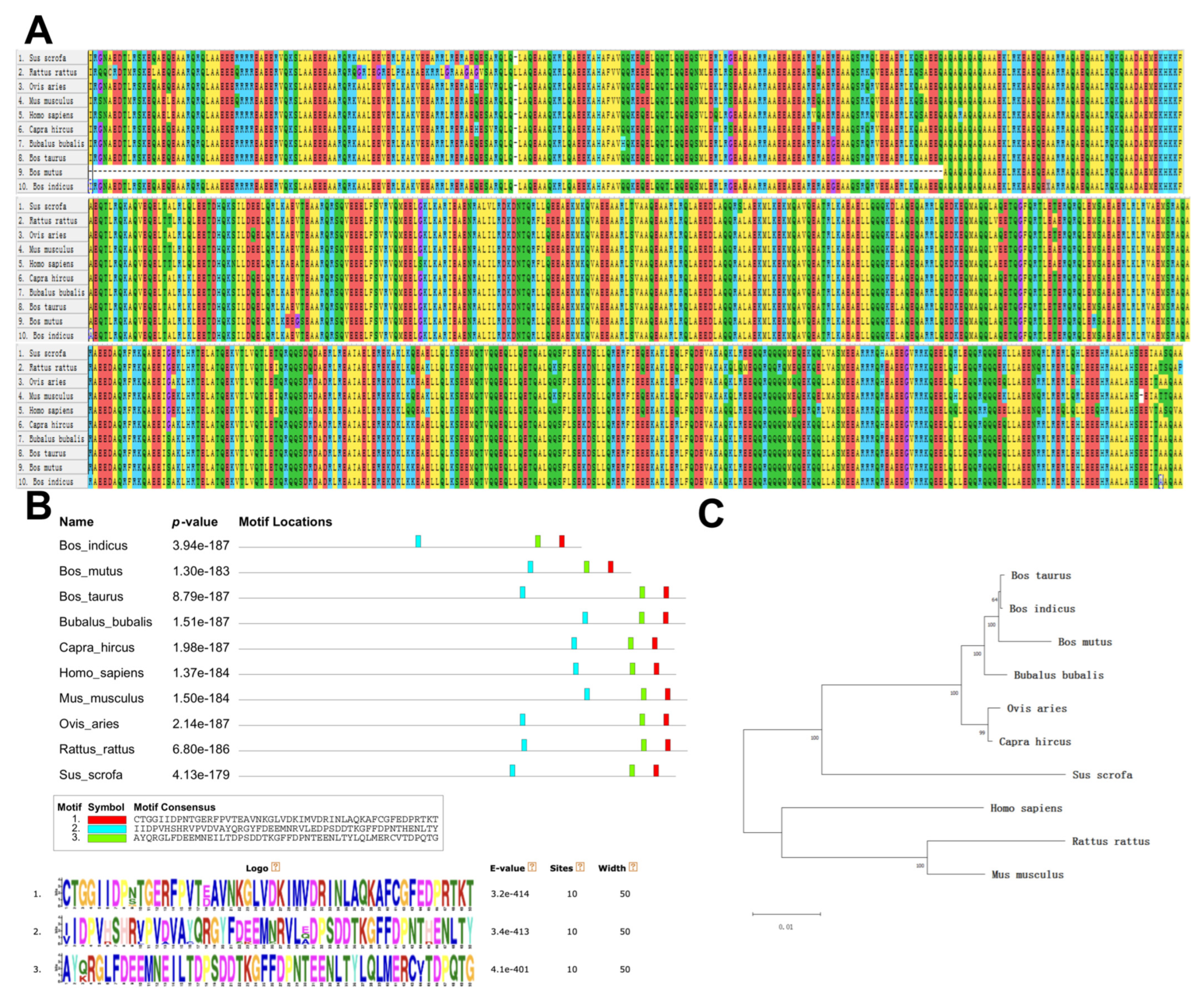 Animals 13 03651 g001 Animals 13 03651 g001