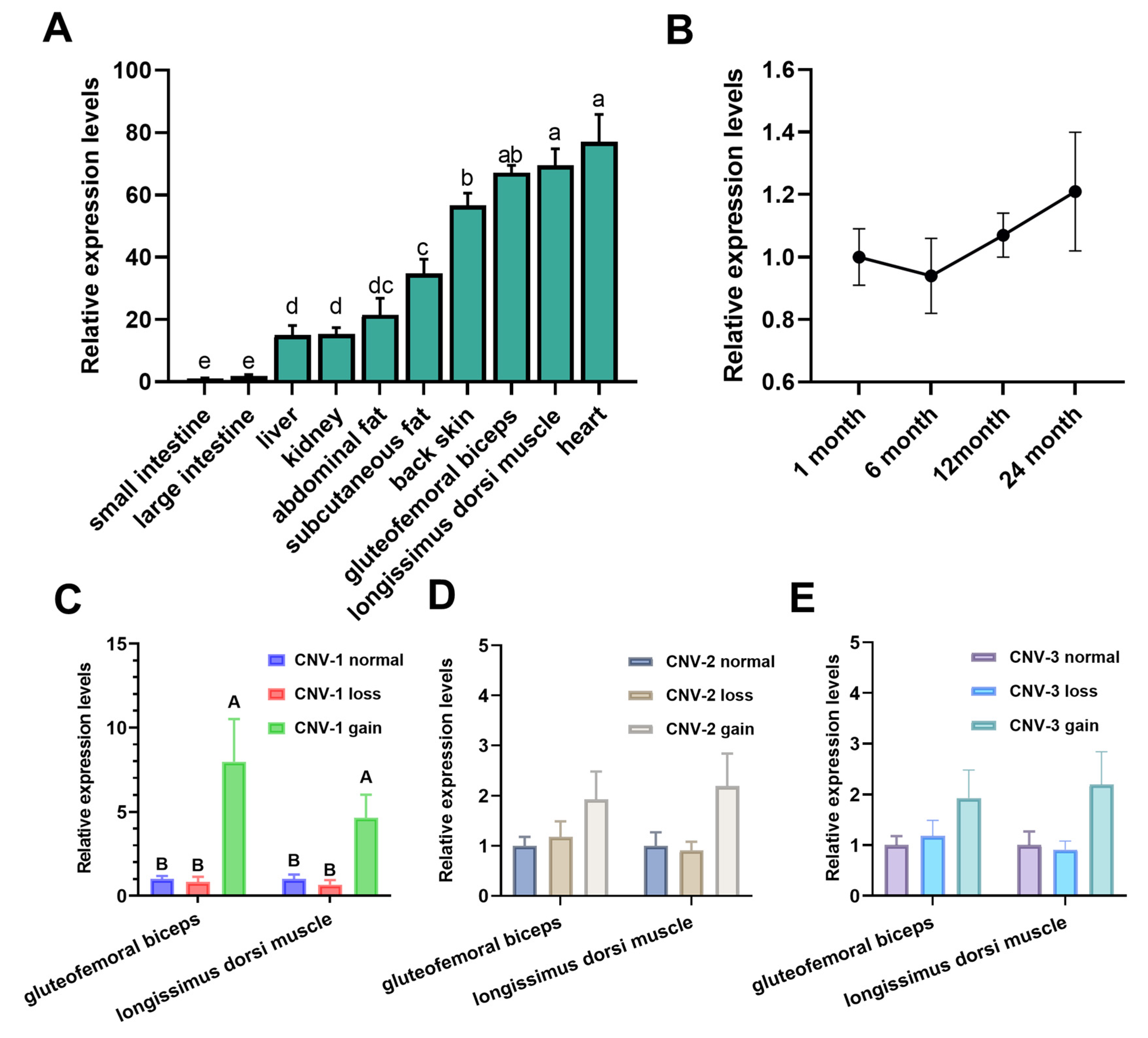 Animals 13 03651 g004 Animals 13 03651 g004
