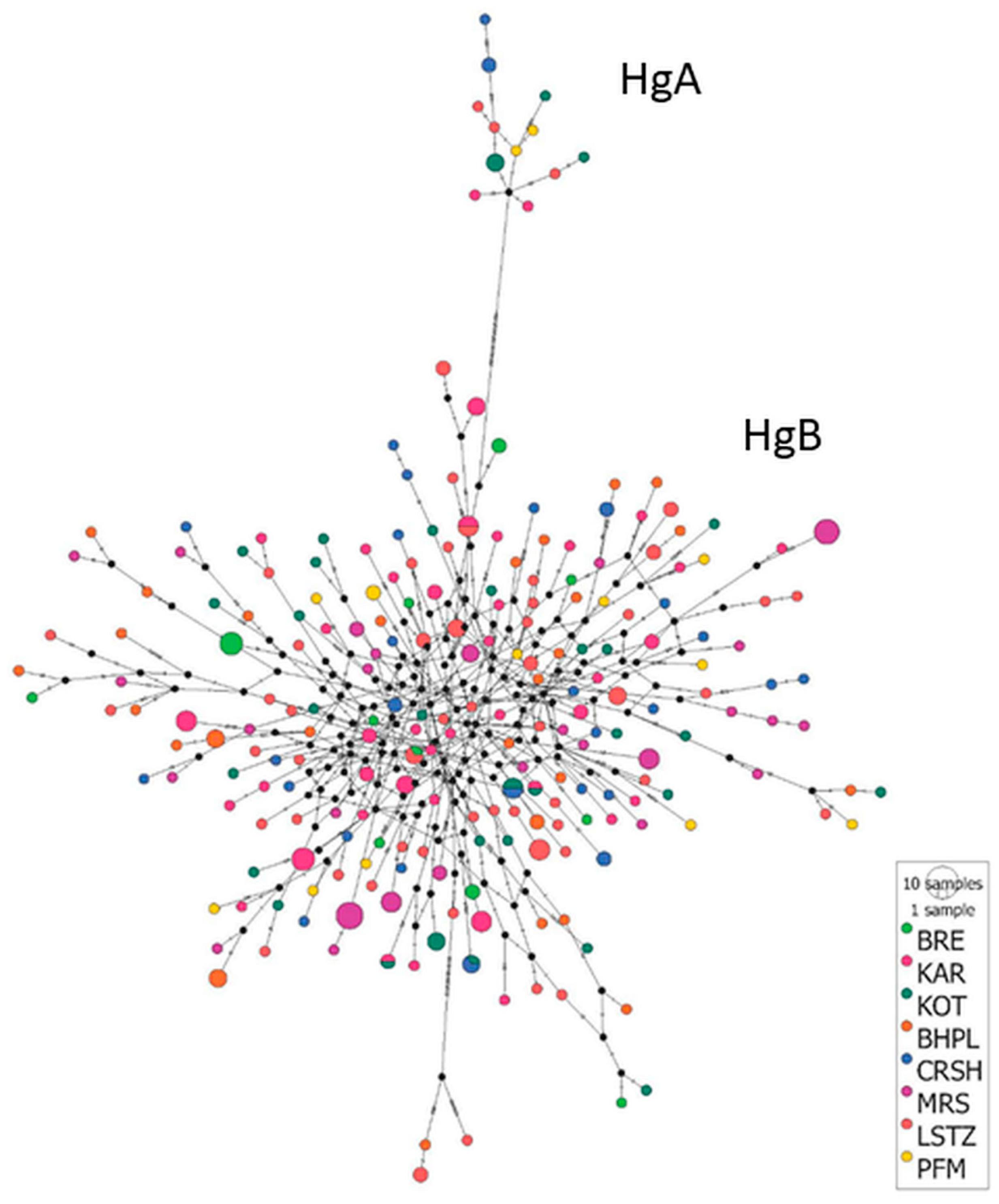 Animals 13 03655 g003