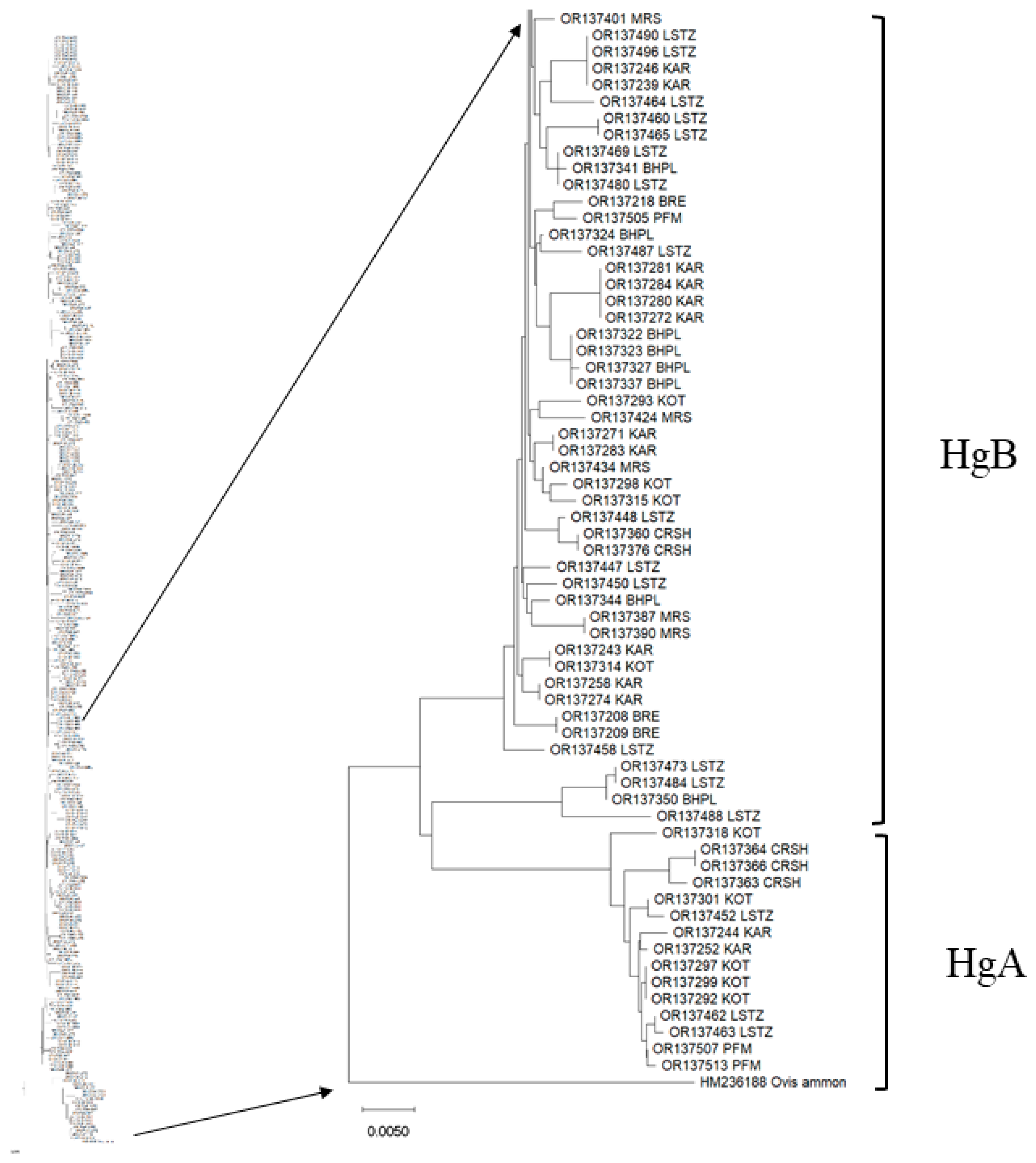 Animals 13 03655 g004