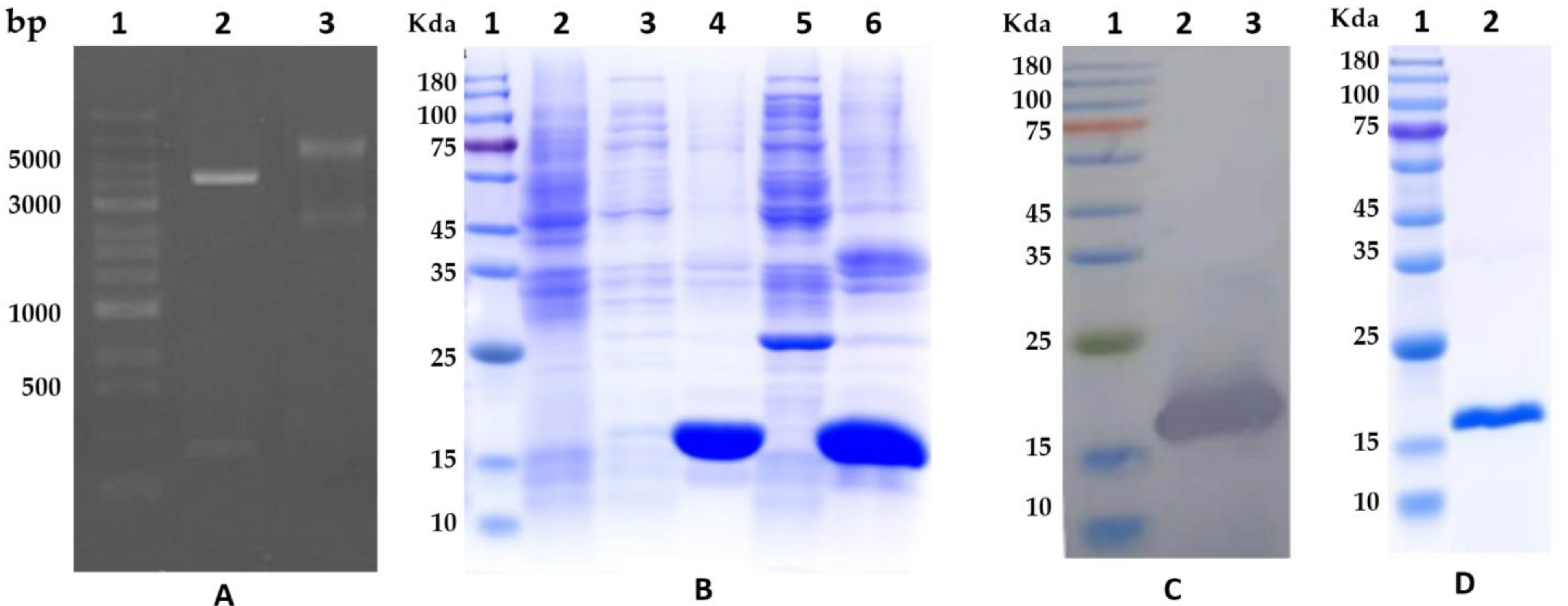 Animals 13 03660 g002 Animals 13 03660 g002