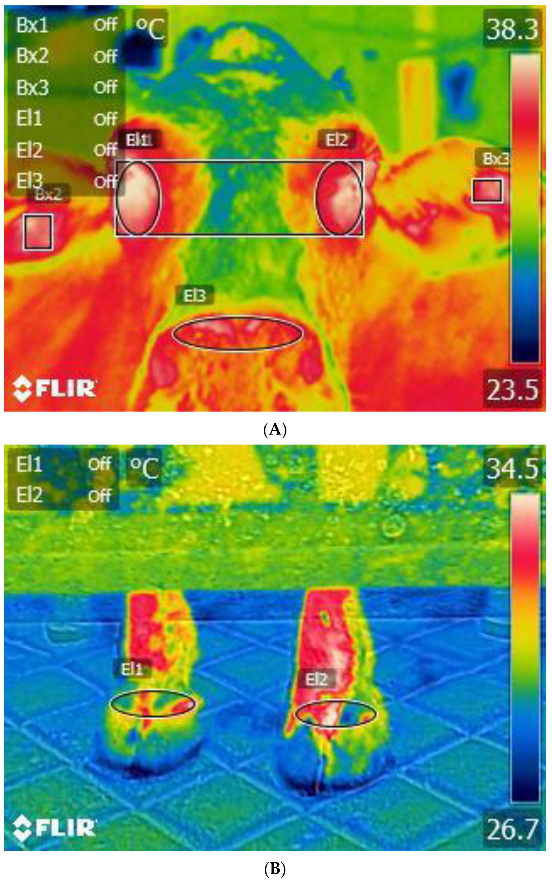 Animals 13 03663 g001