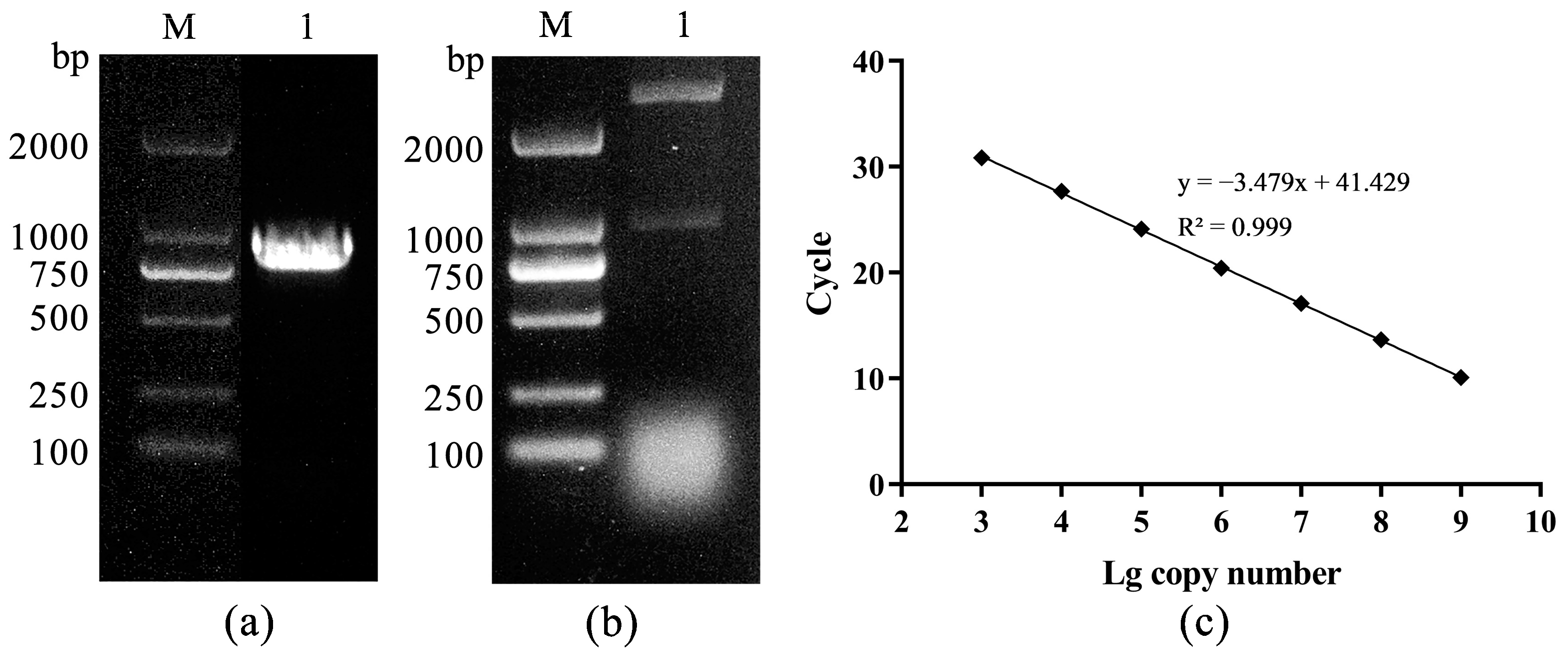 Animals 13 03665 g003