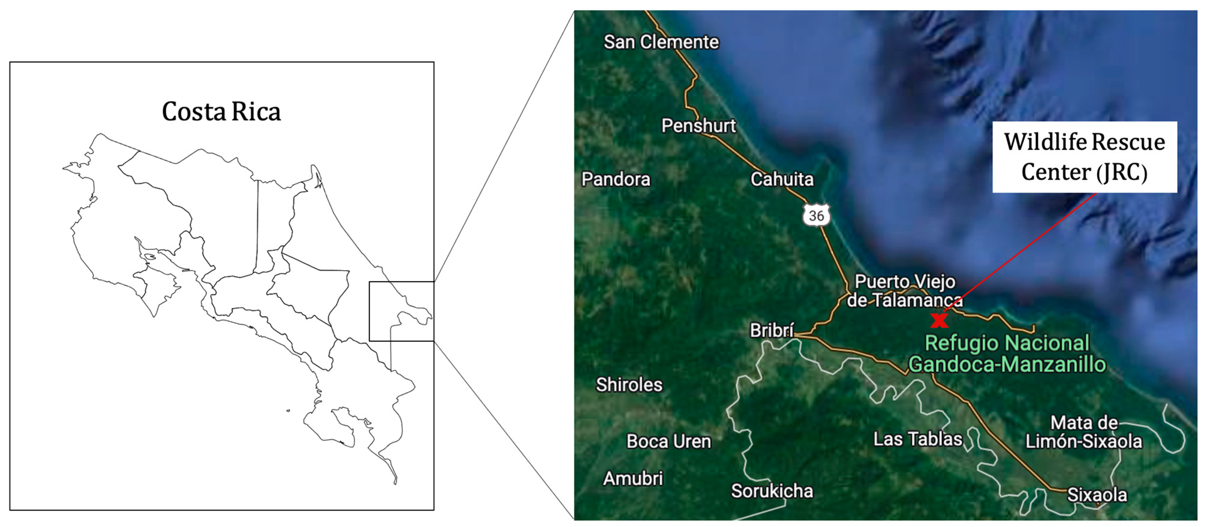 Animals 13 03669 g001