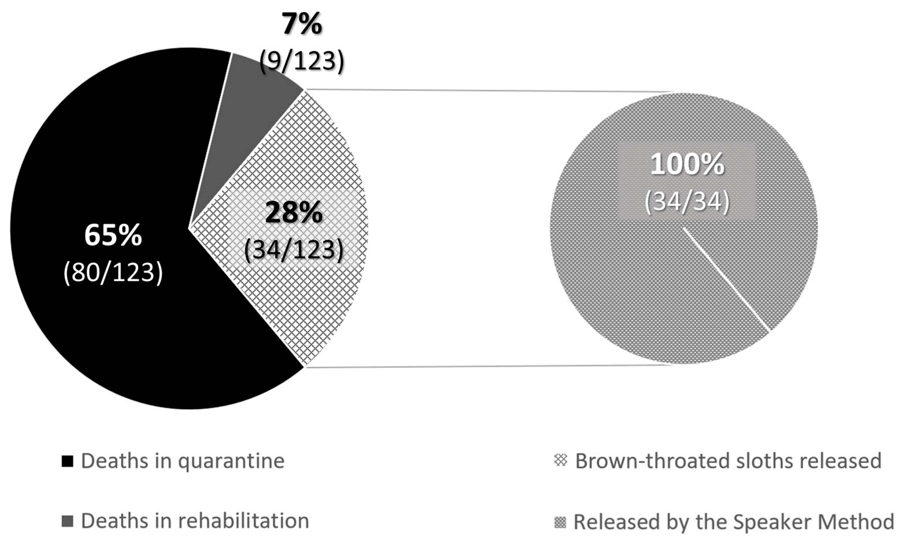 Animals 13 03669 g004