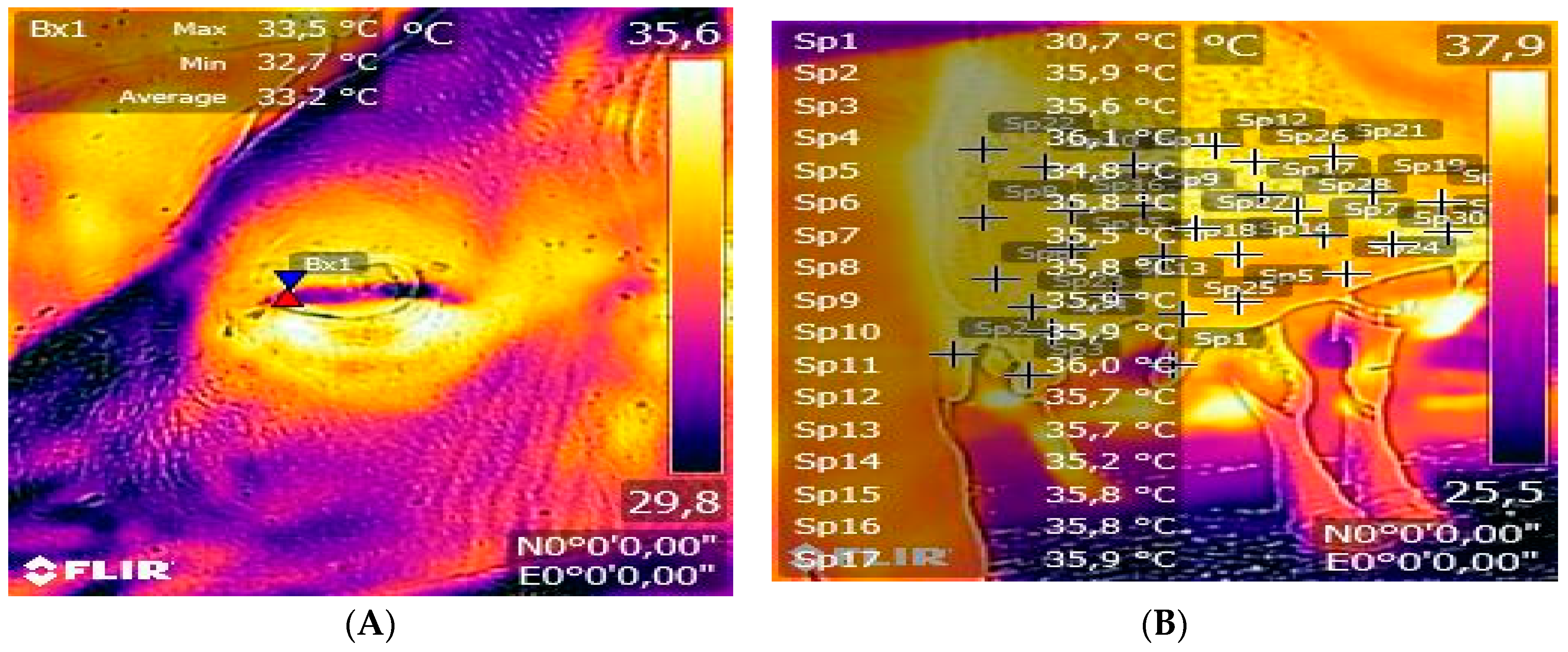 Animals 13 03671 g001 Animals 13 03671 g001