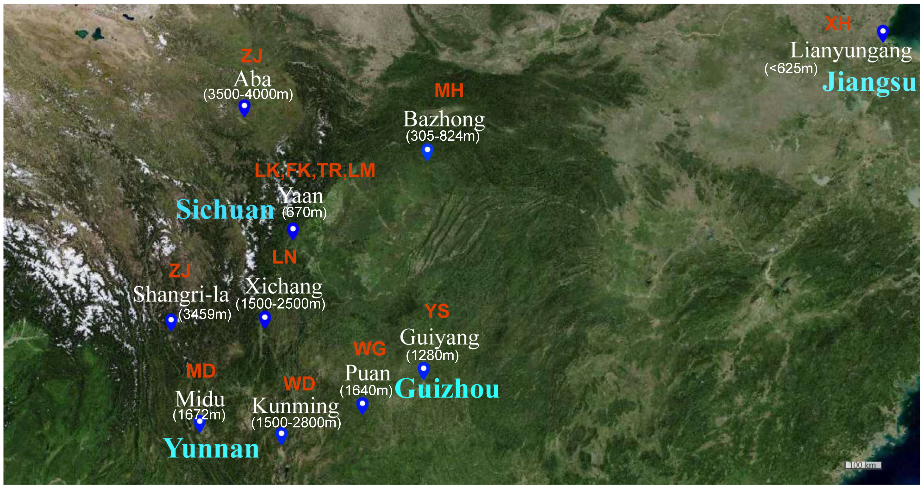 Animals 13 03672 g001