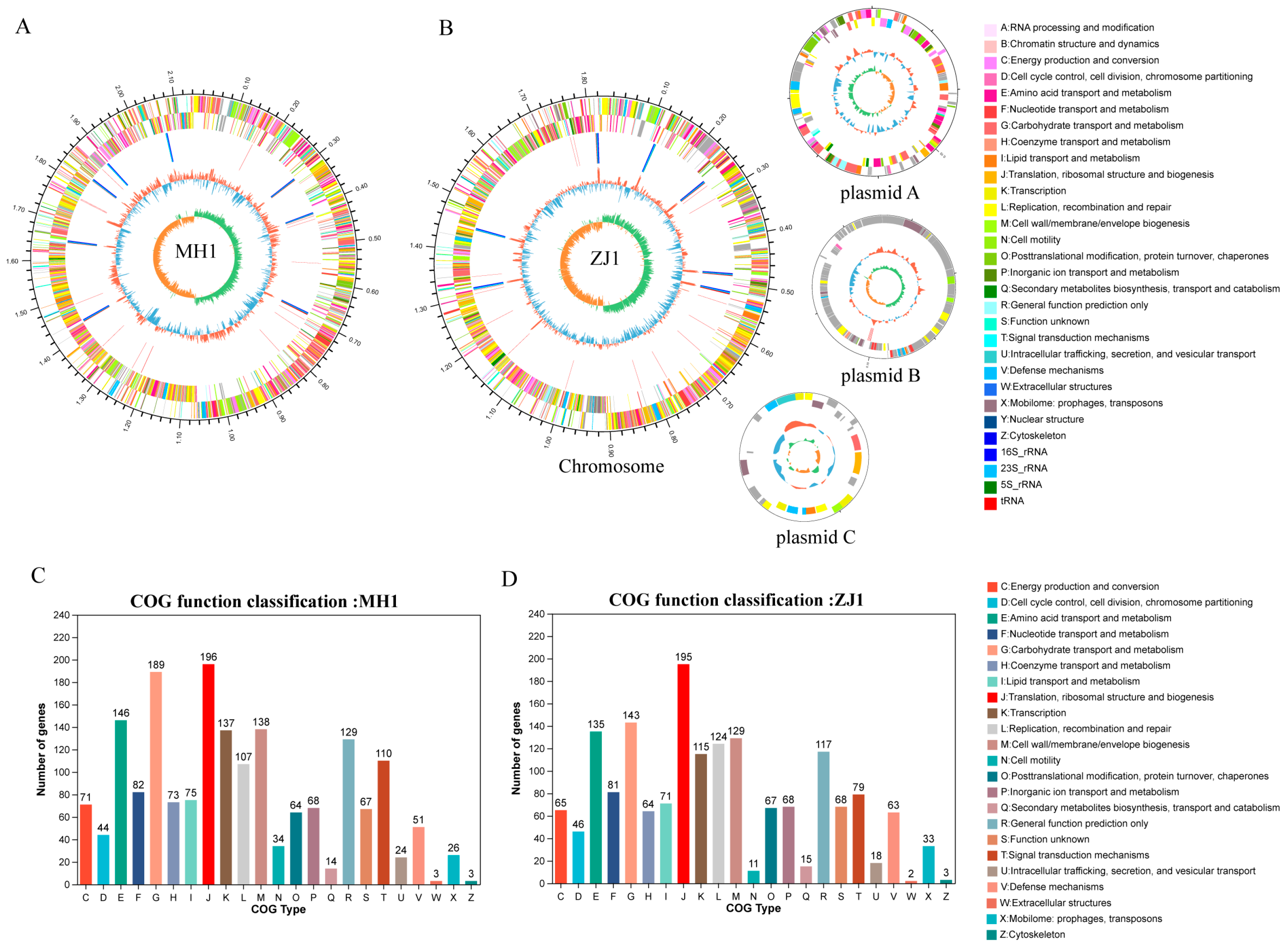 Animals 13 03672 g006