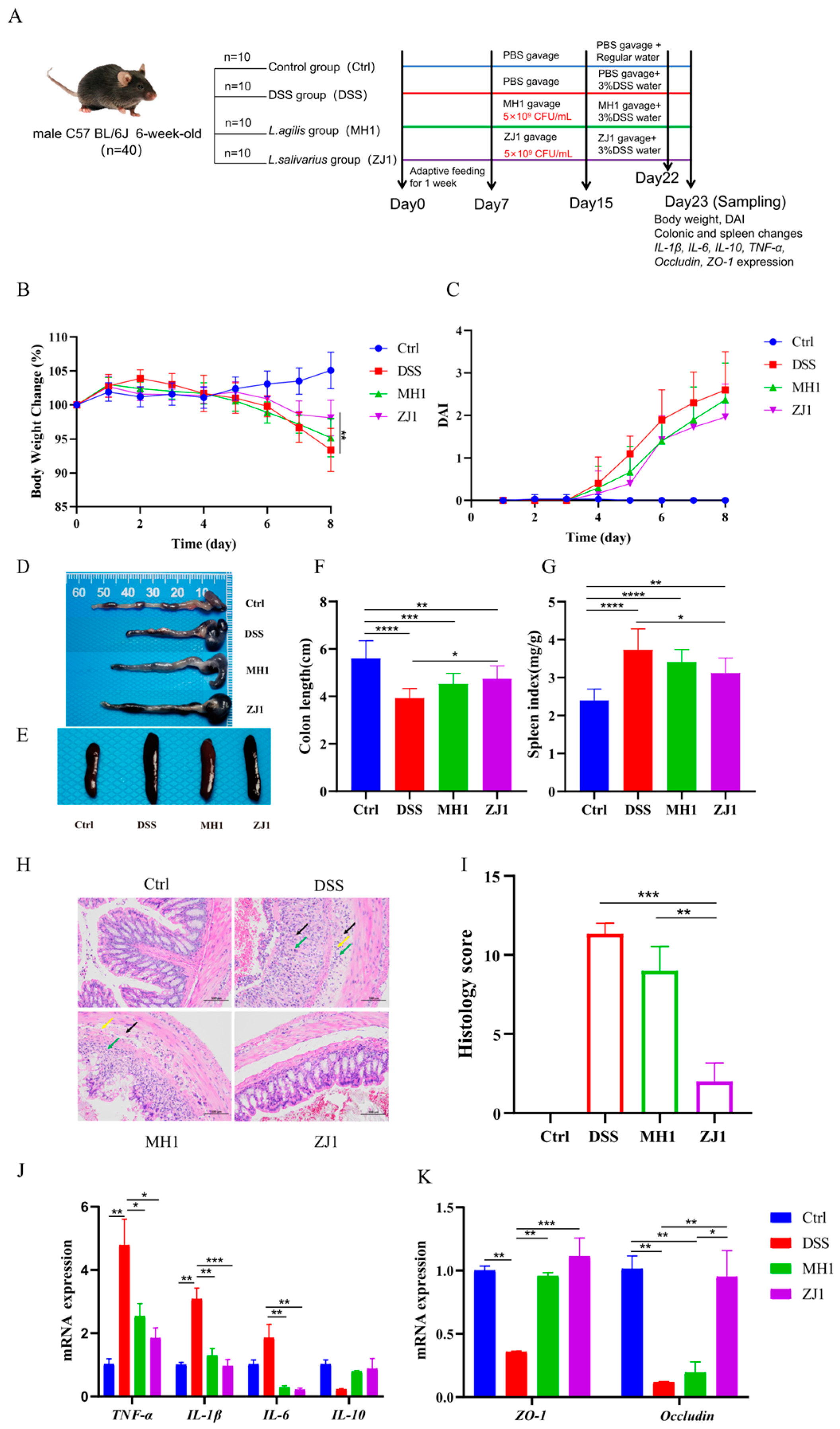Animals 13 03672 g007