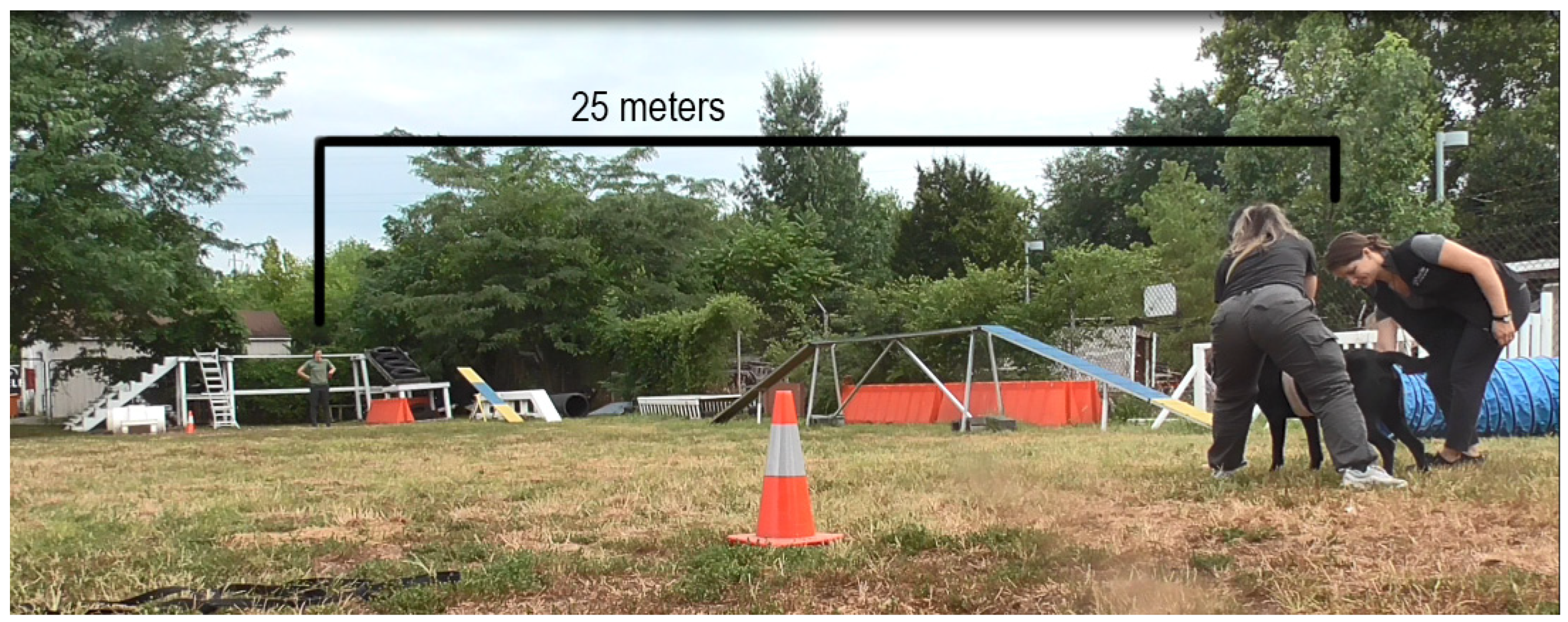 Animals 13 03673 g001