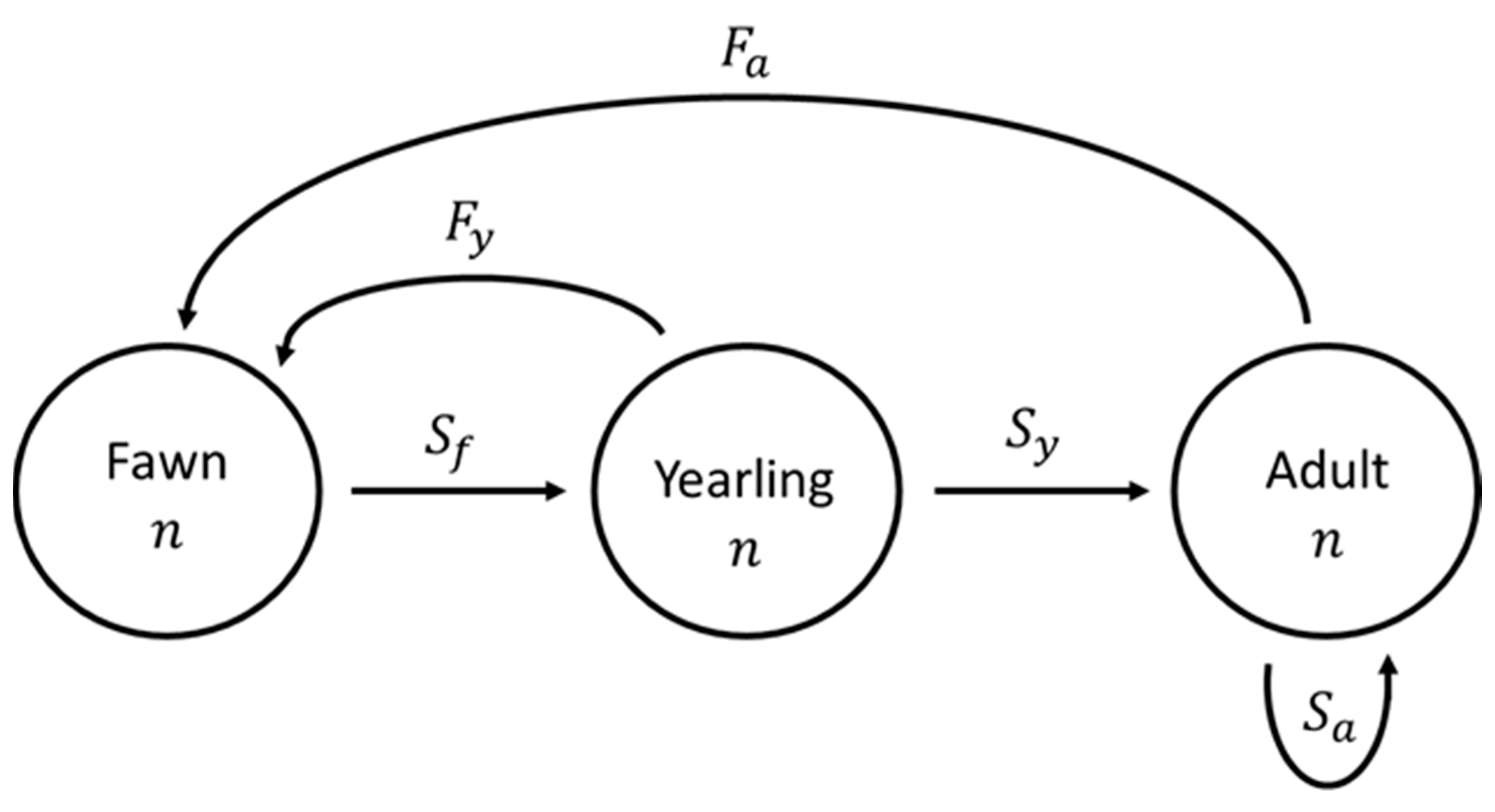 Animals 13 03675 g001 Animals 13 03675 g001