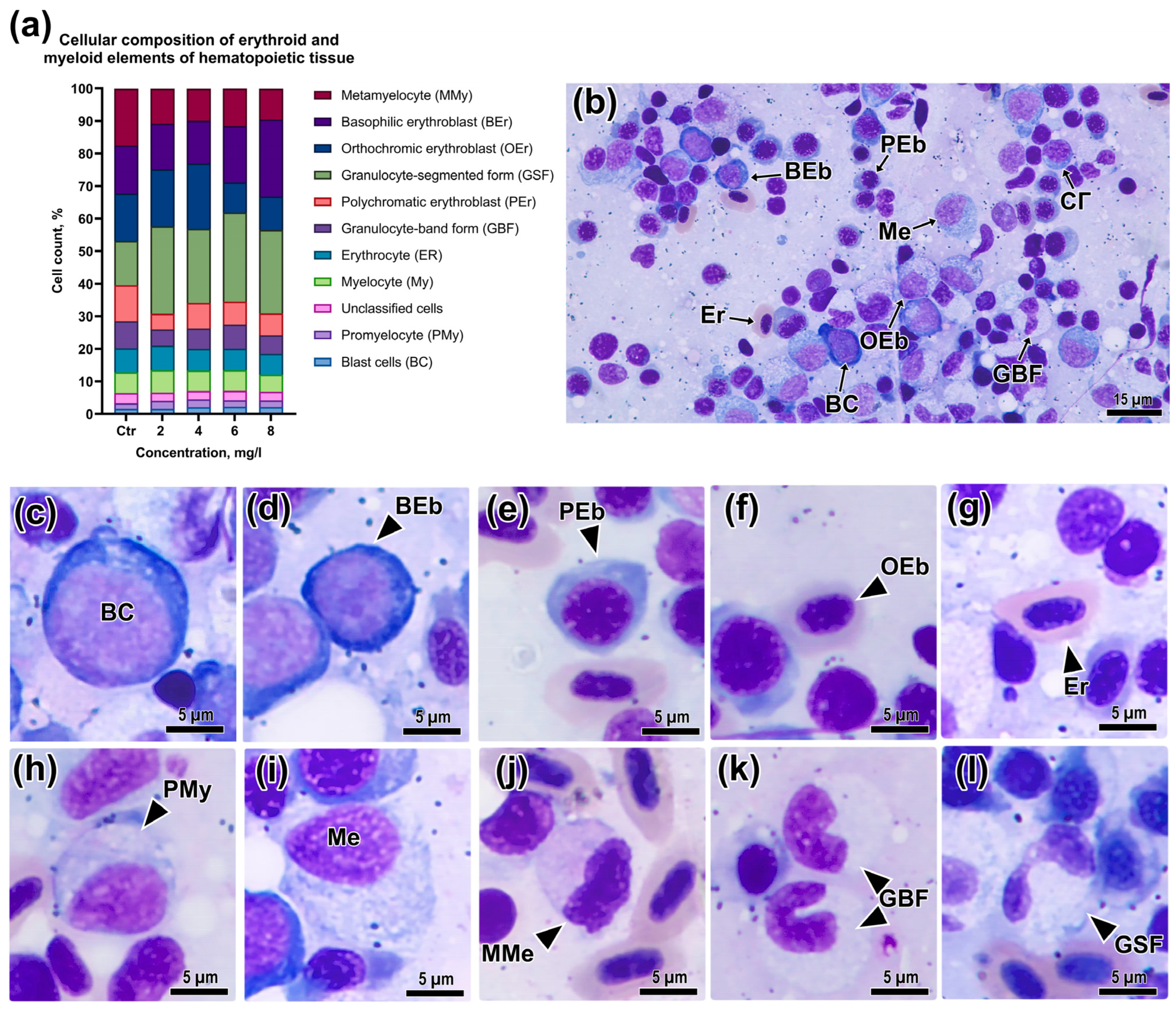 Animals 13 03685 g002