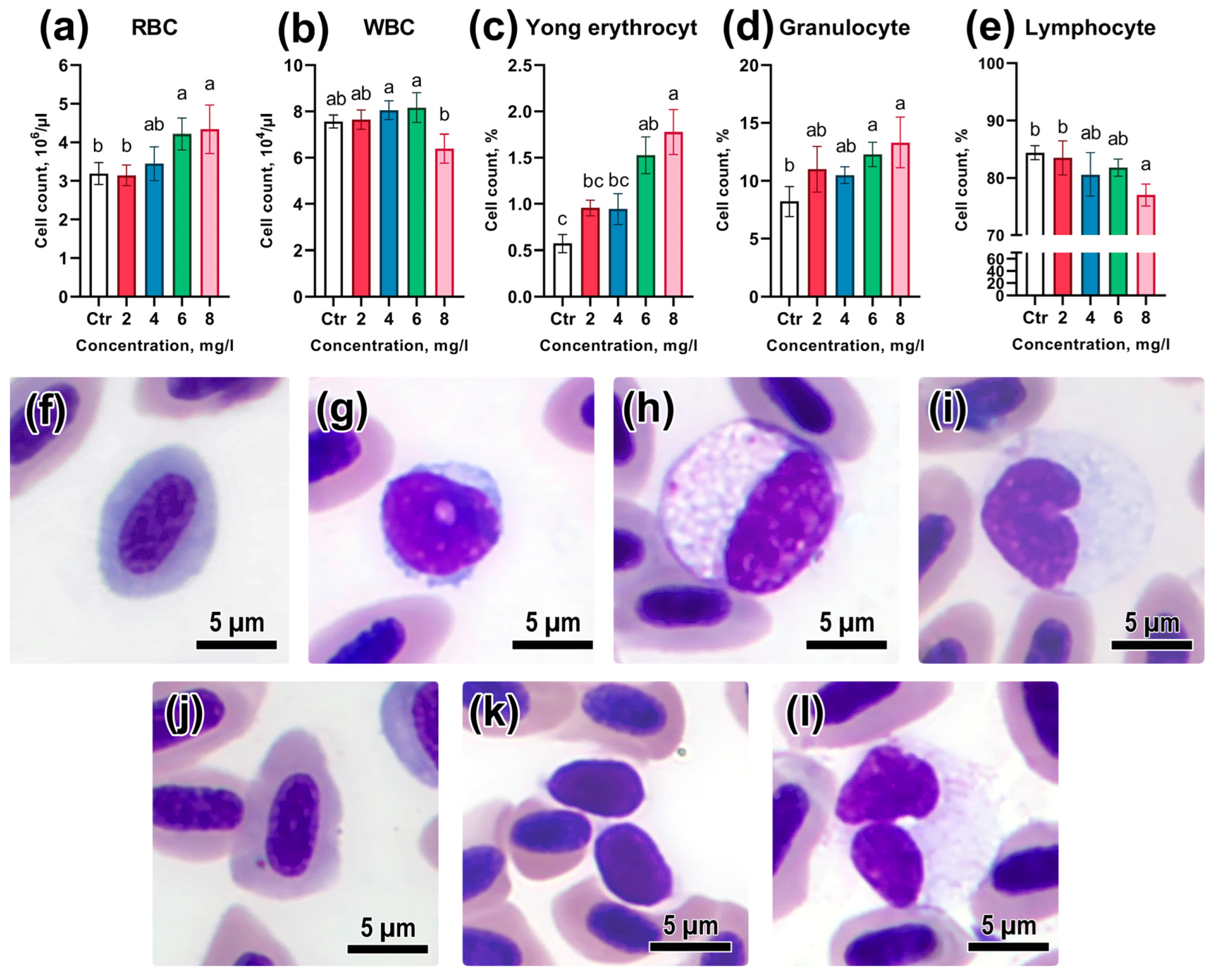 Animals 13 03685 g003