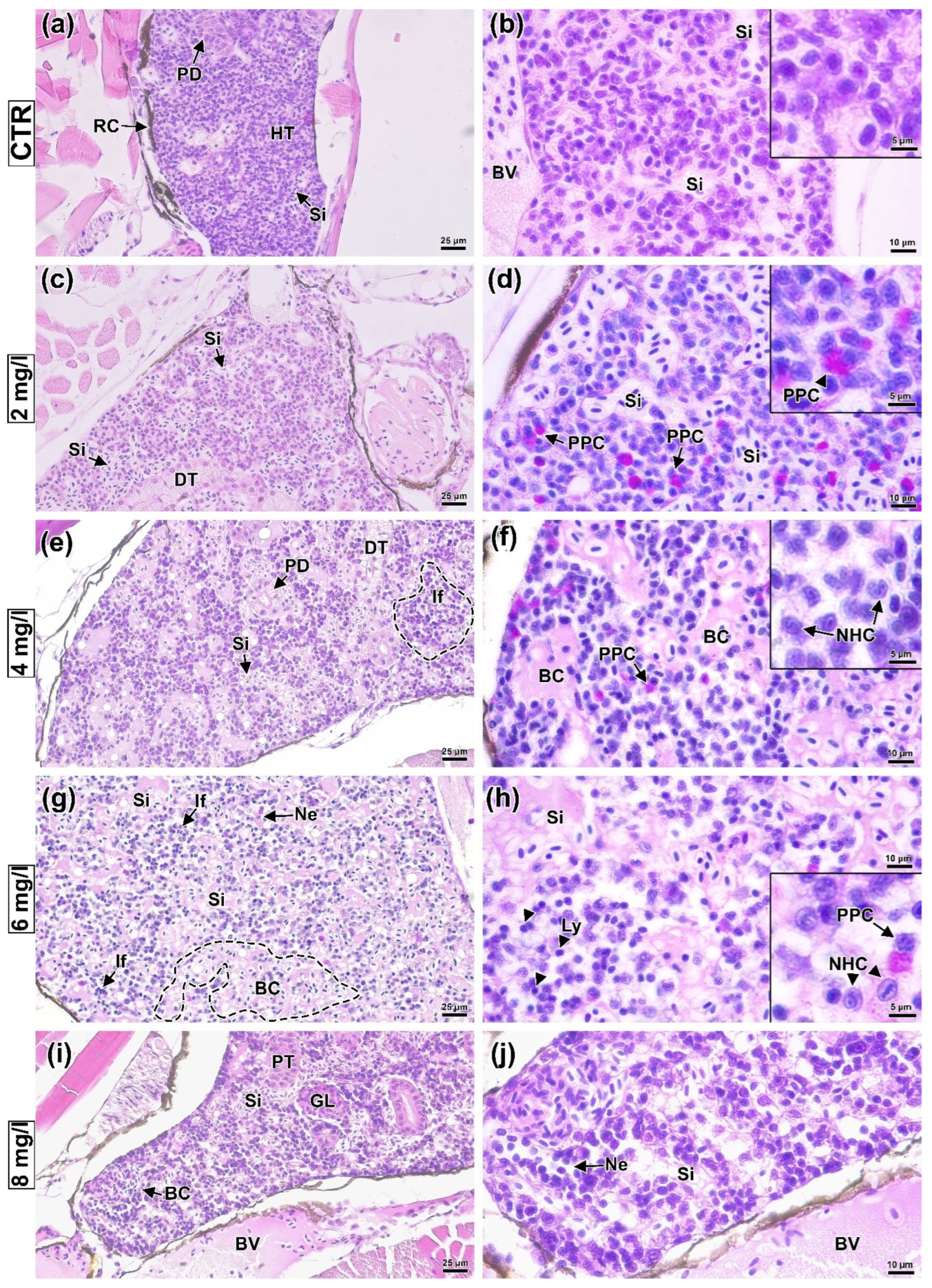 Animals 13 03685 g005