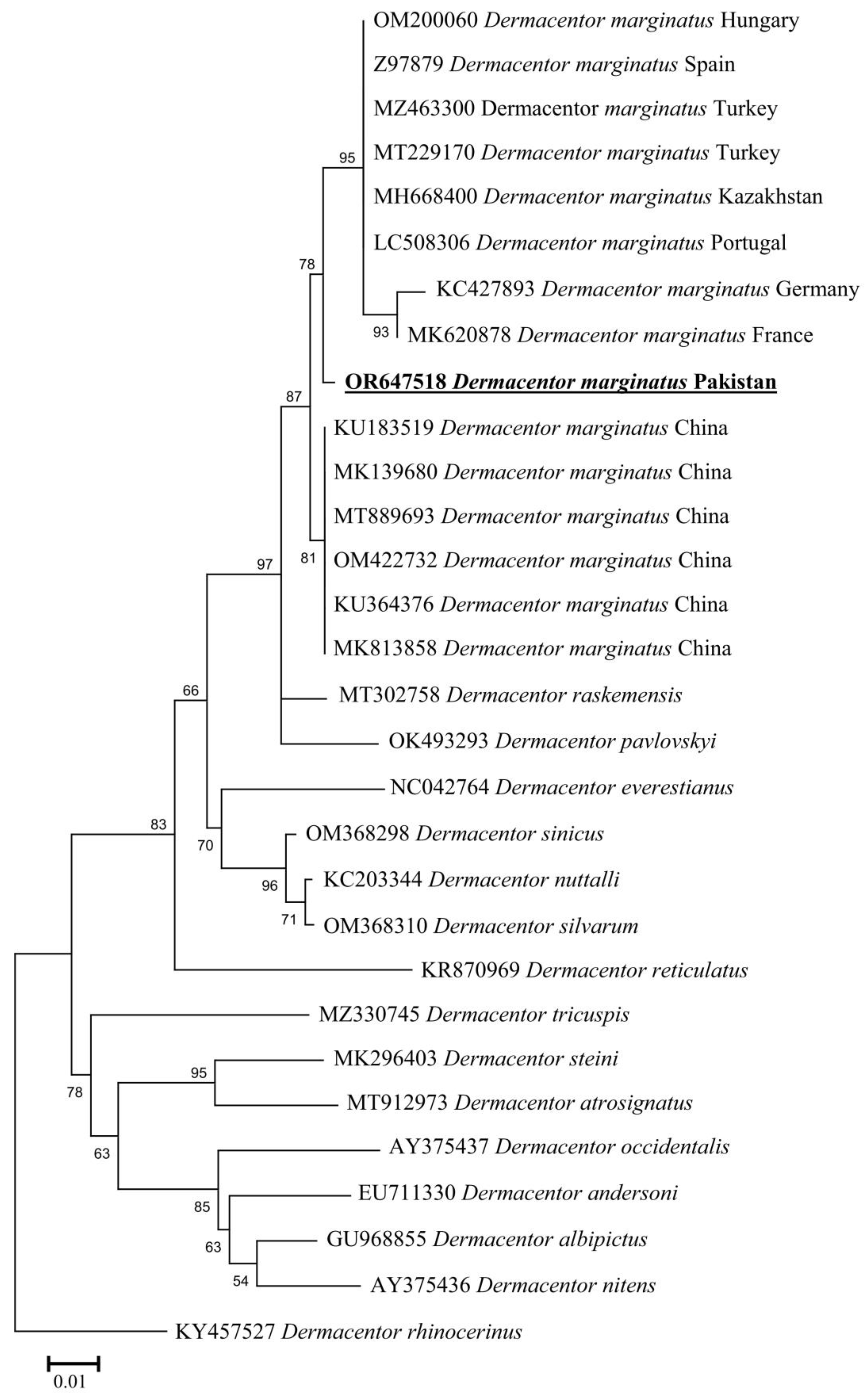 Animals 13 03686 g004