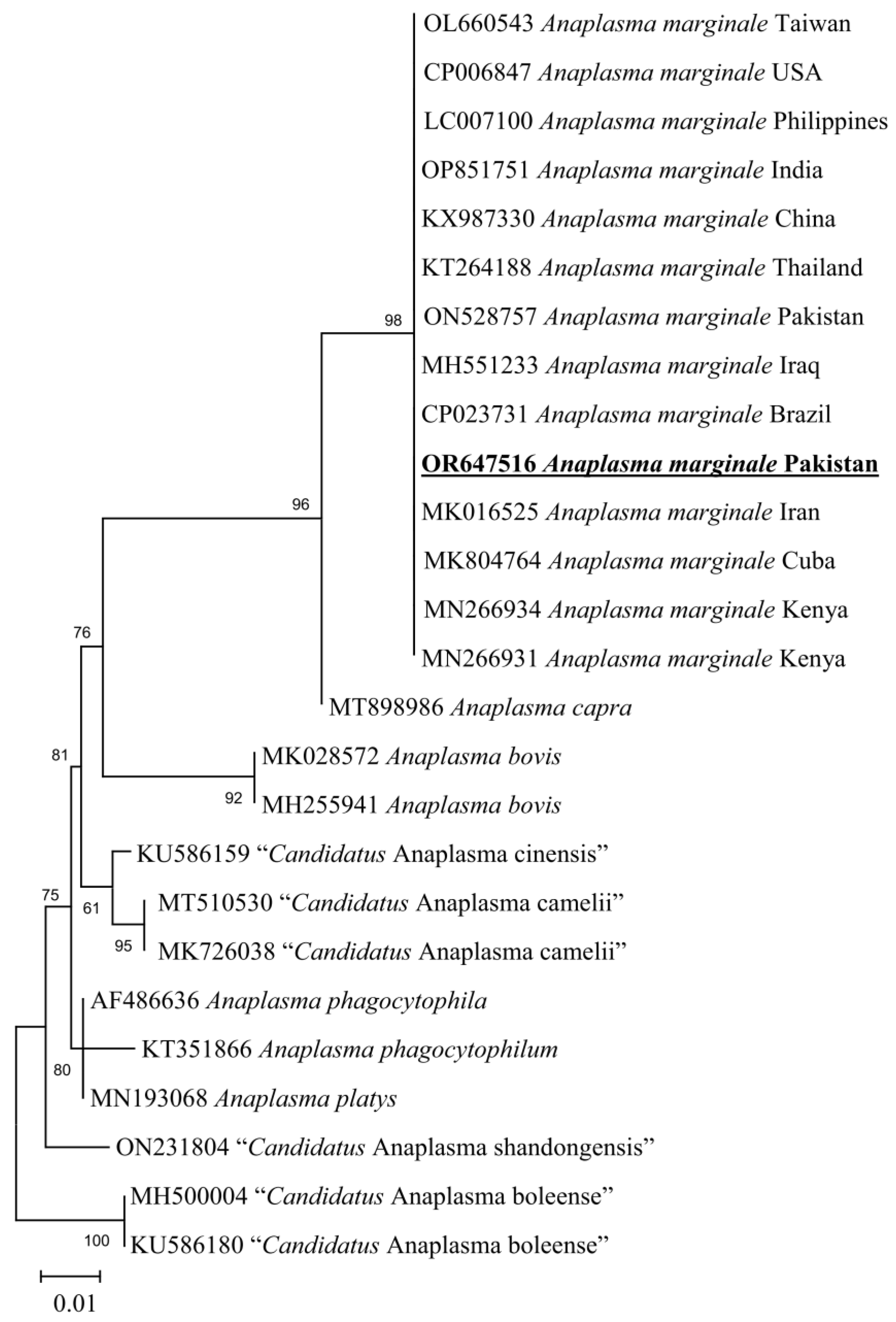 Animals 13 03686 g006