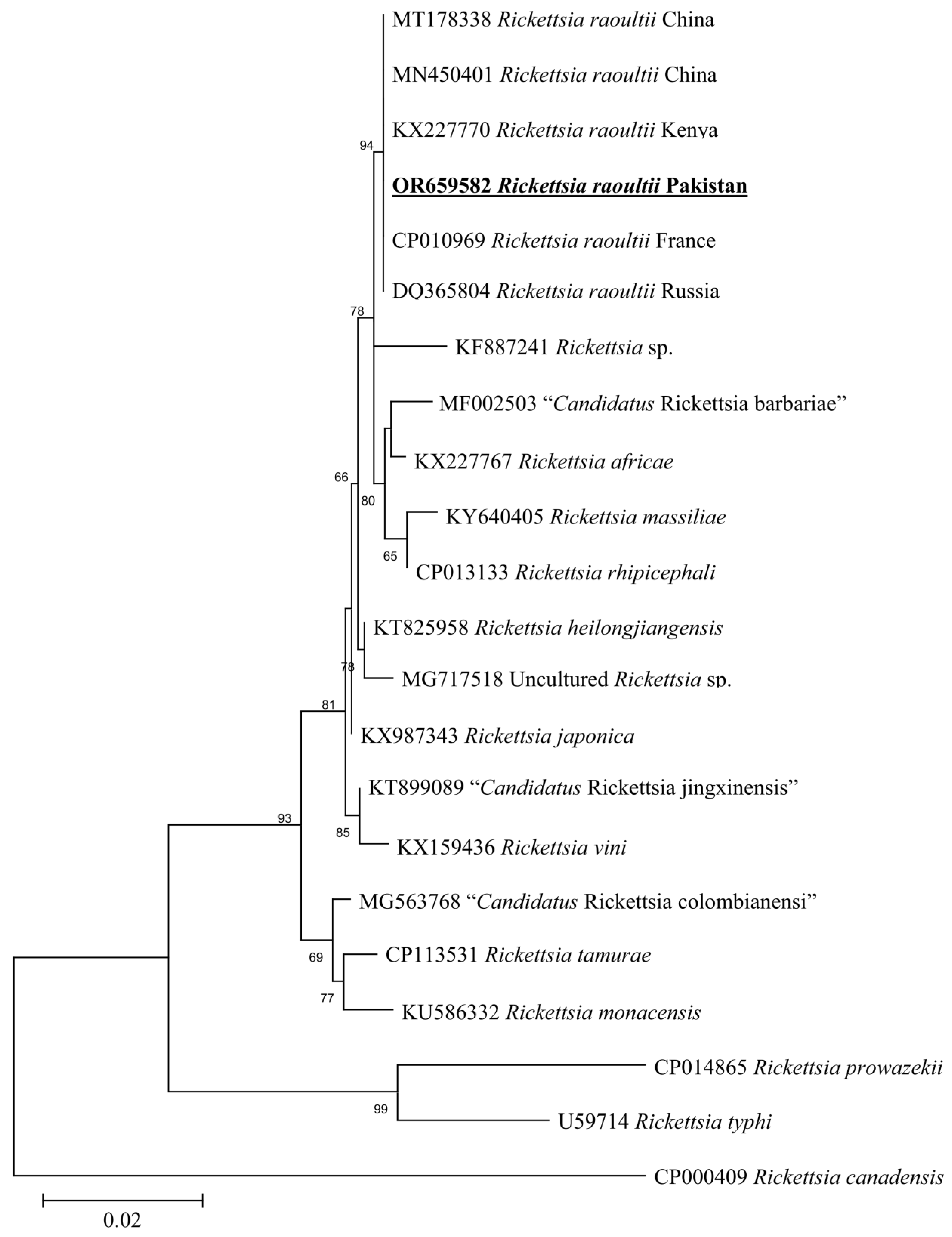 Animals 13 03686 g007
