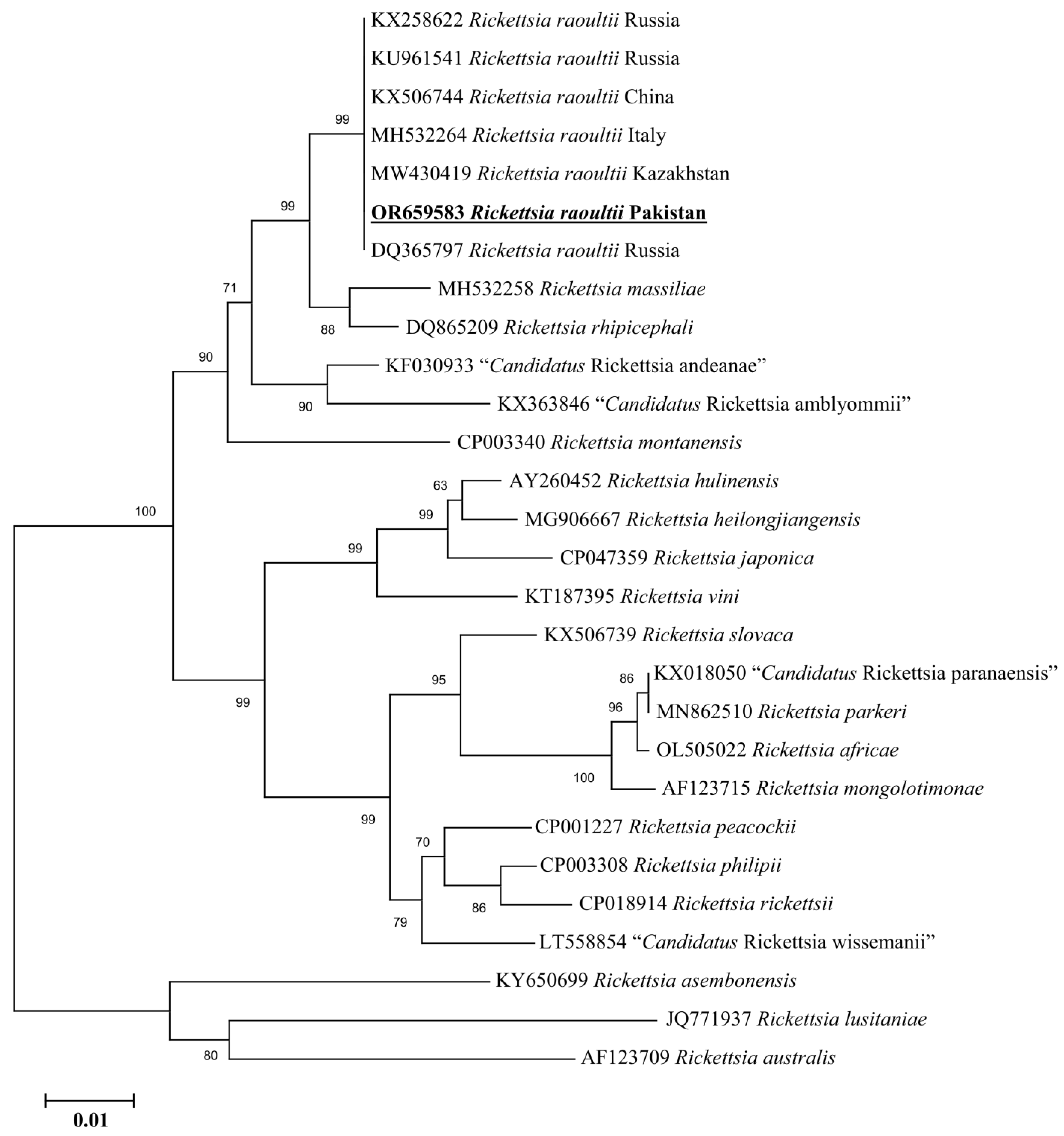 Animals 13 03686 g008