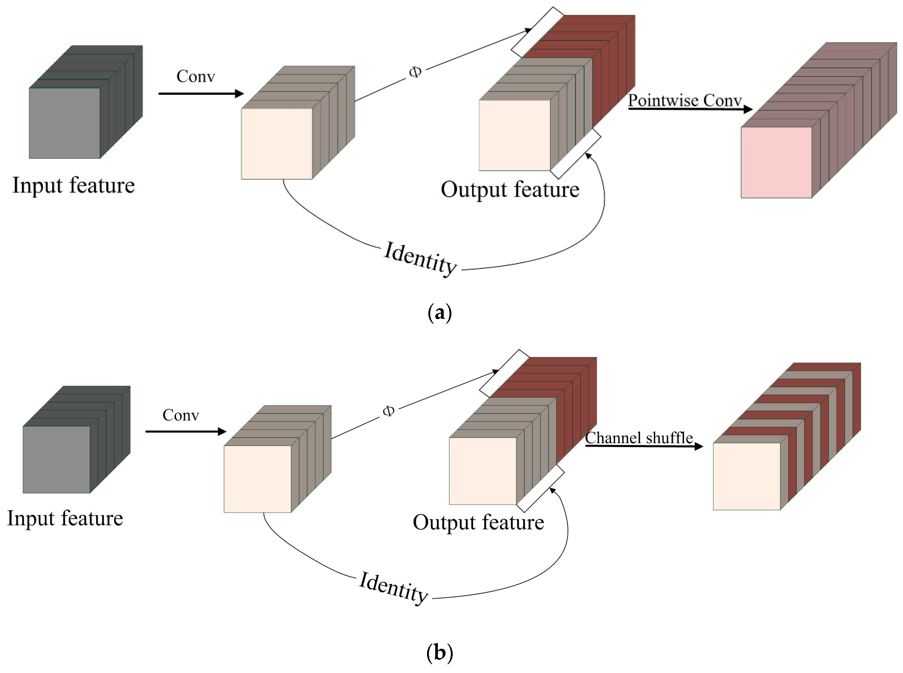 Animals 13 03688 g005