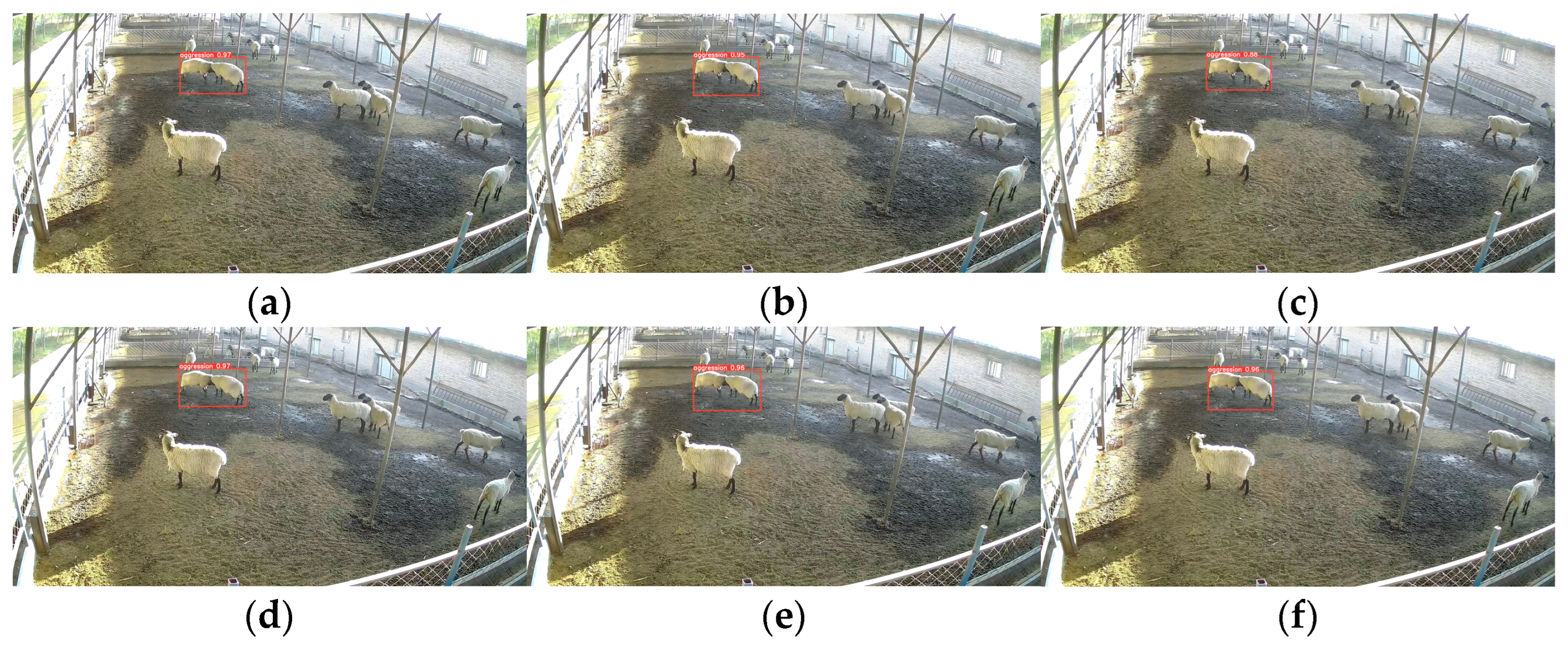 Animals 13 03688 g010