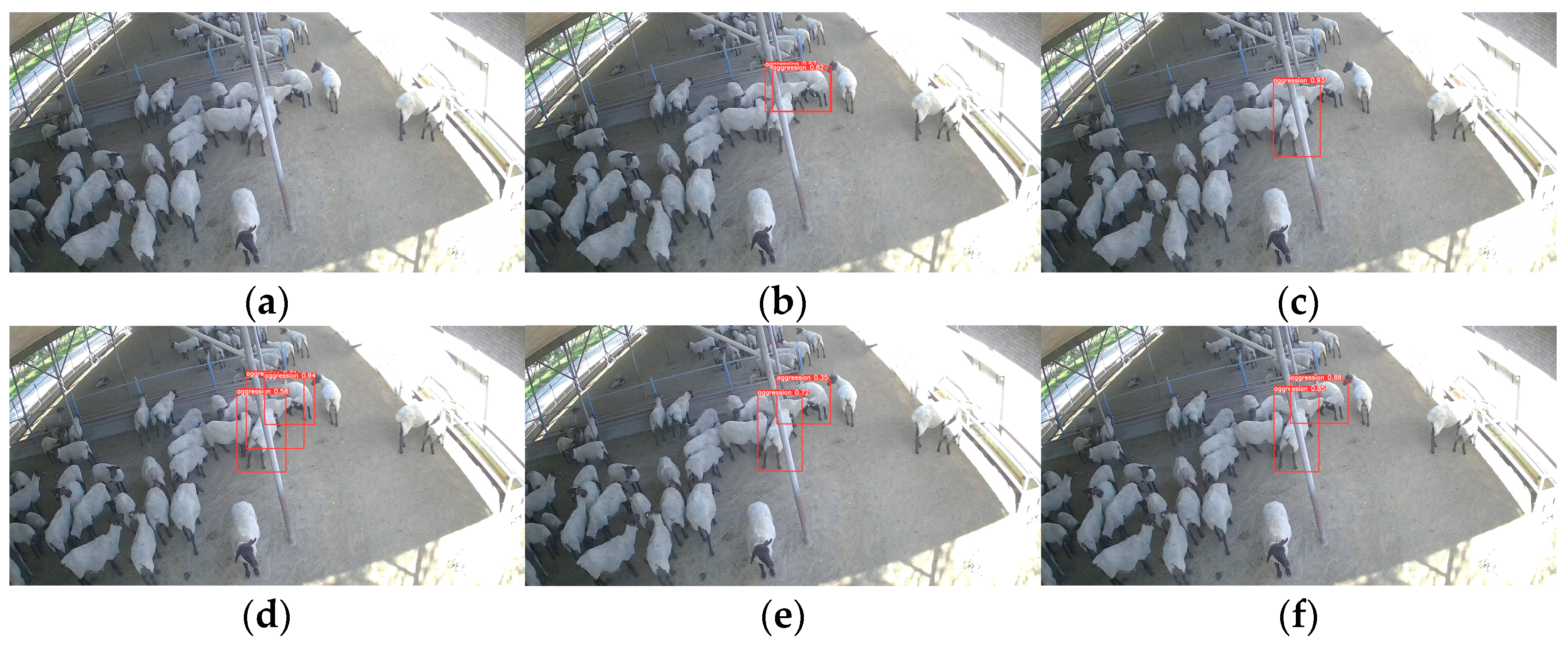 Animals 13 03688 g011