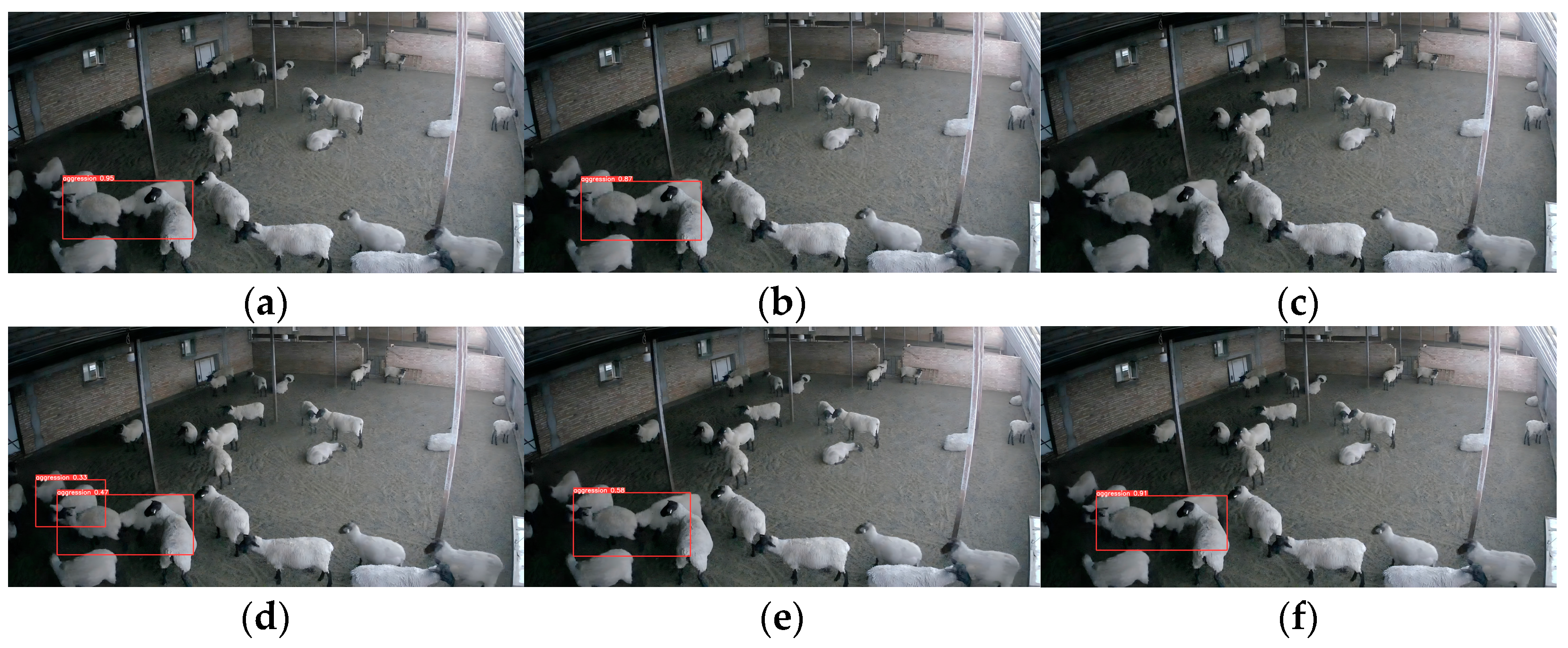 Animals 13 03688 g012