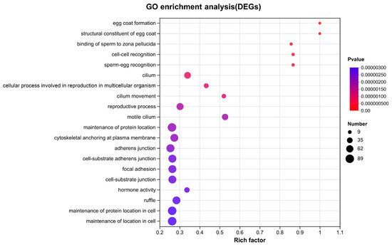 Comparative Transcriptome Analysis Reveals Sexually Dimorphic Gene