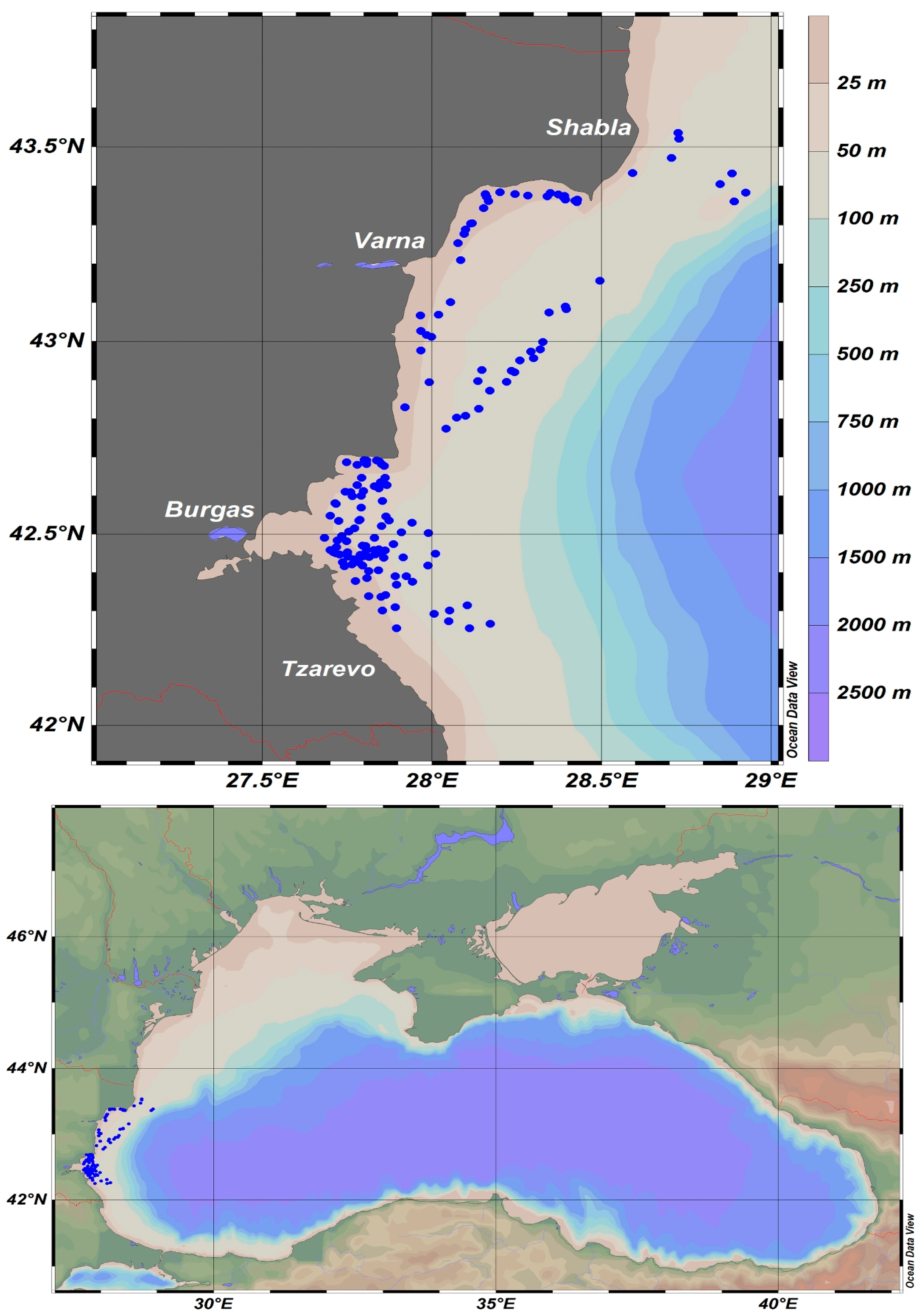 Animals 13 03691 g001