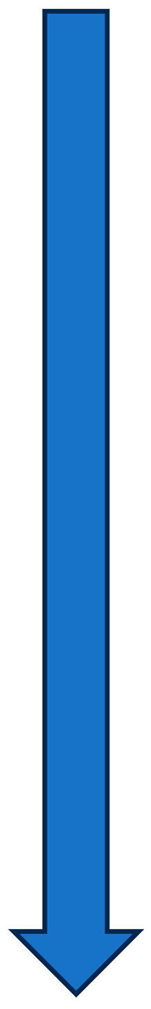 Animals 13 03696 i001