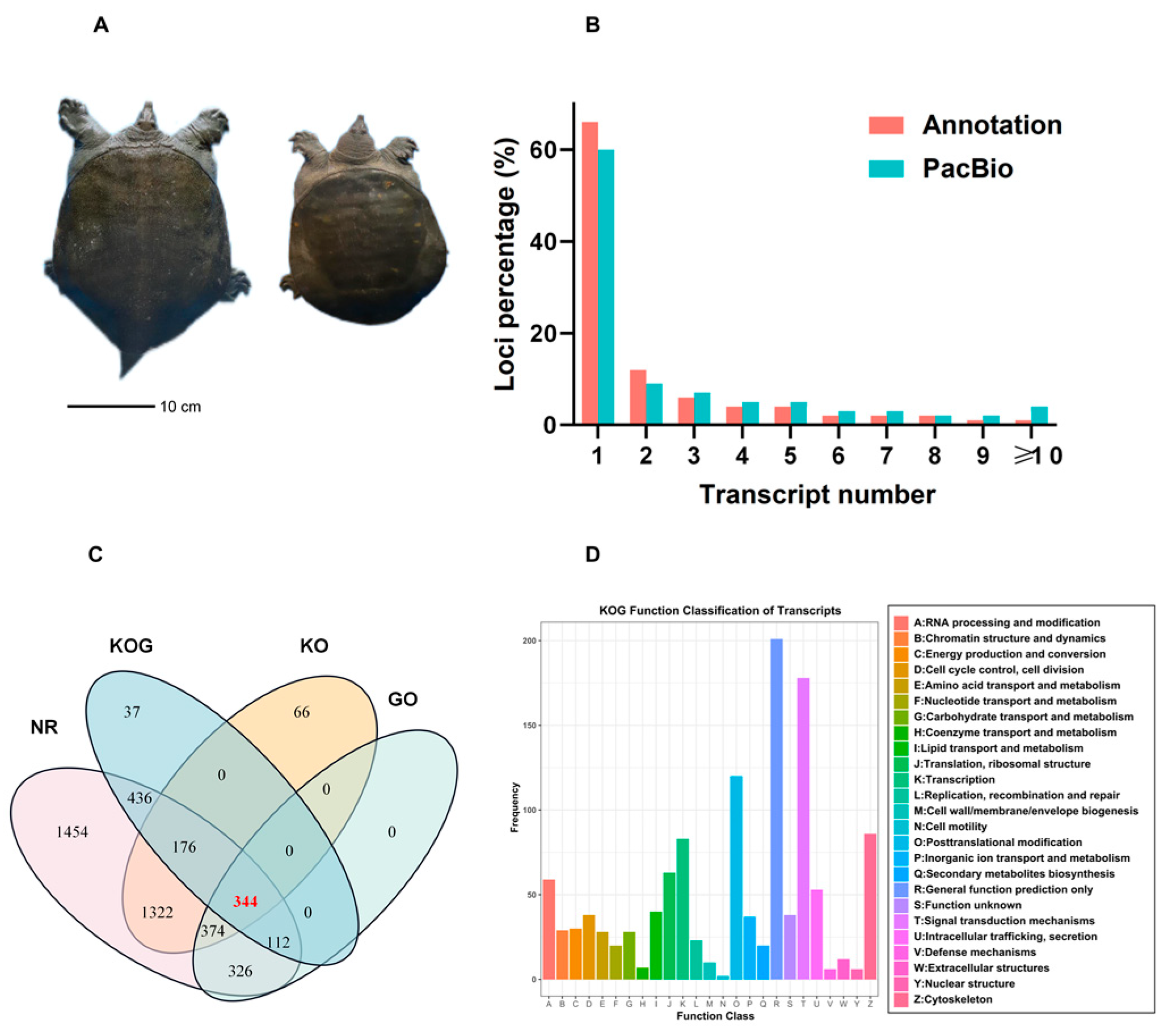Animals 13 03704 g001 Animals 13 03704 g001