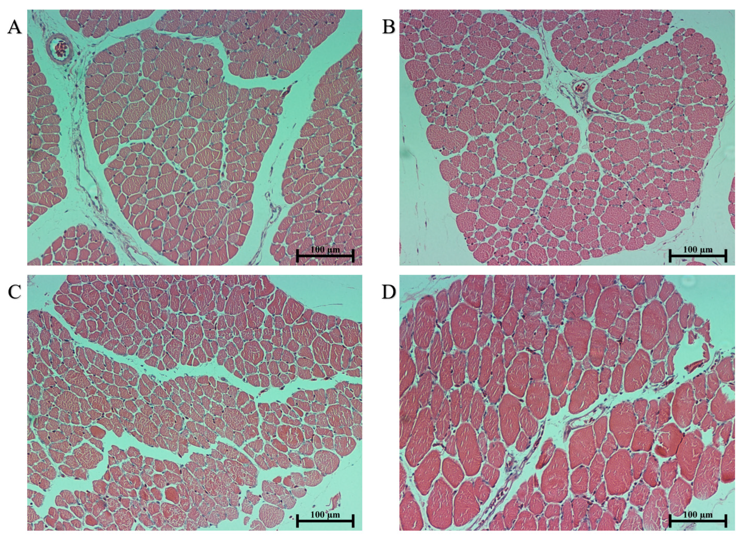 Animals 13 03711 g004