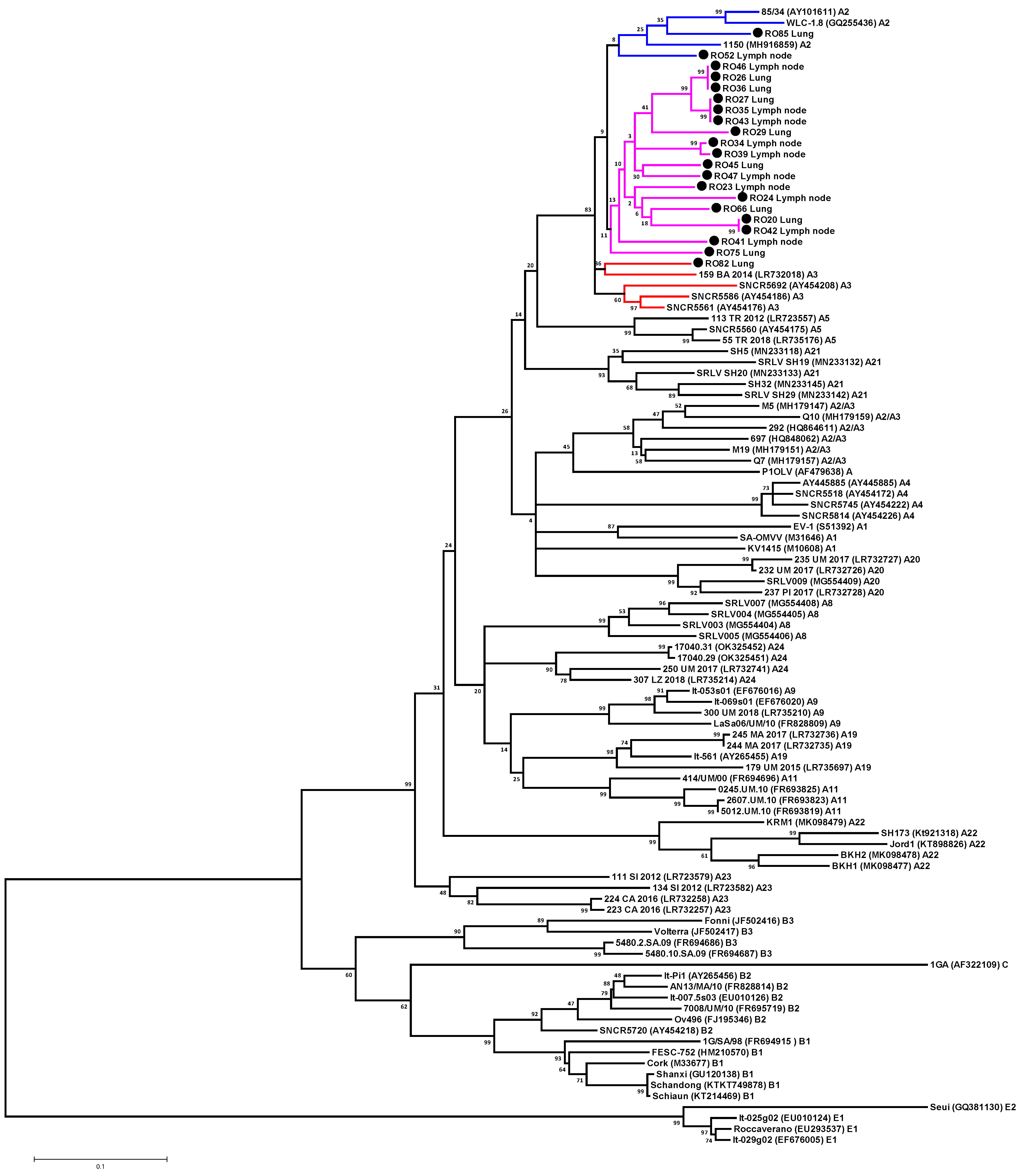 Animals 13 03718 g002