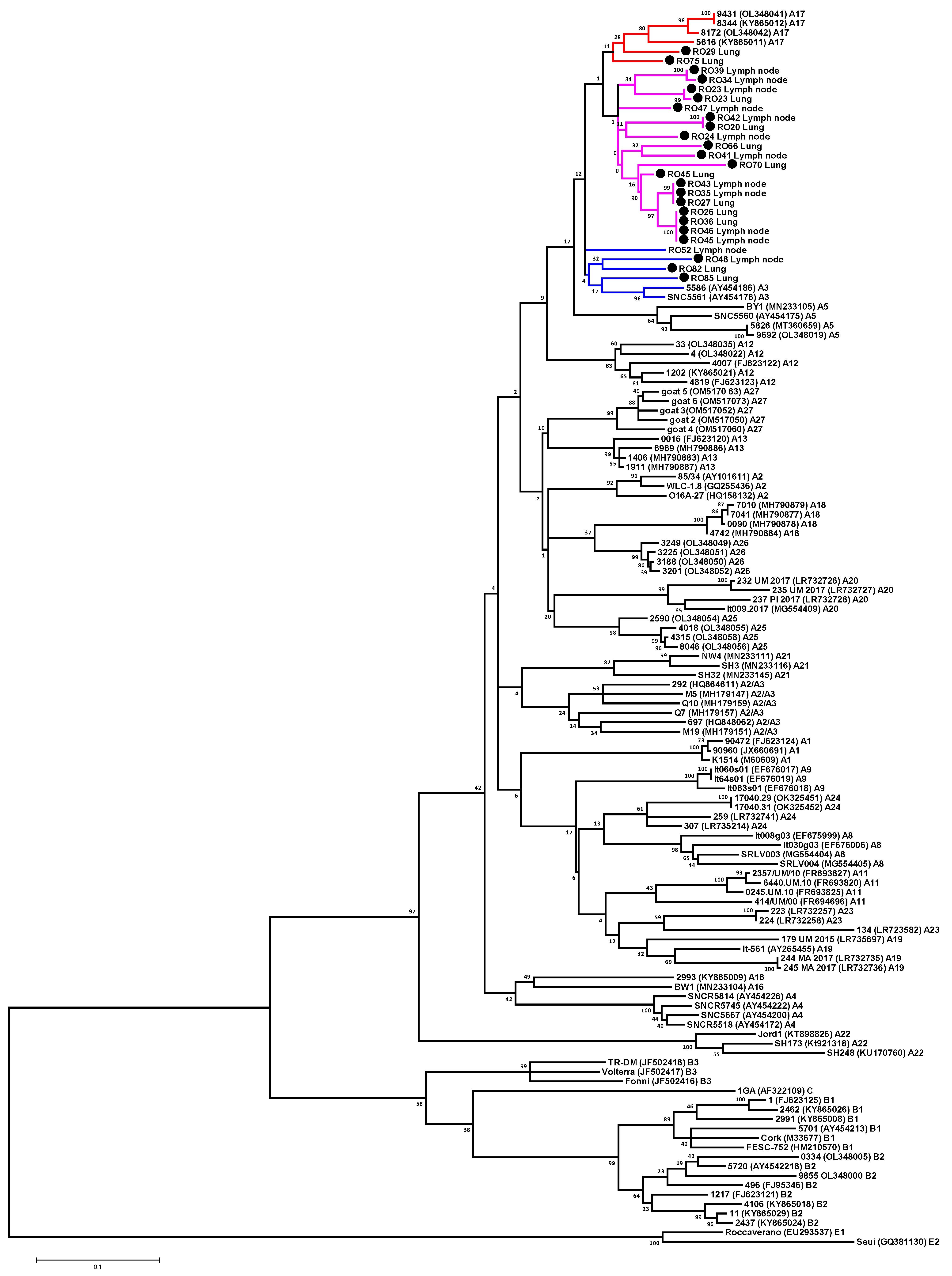 Animals 13 03718 g003